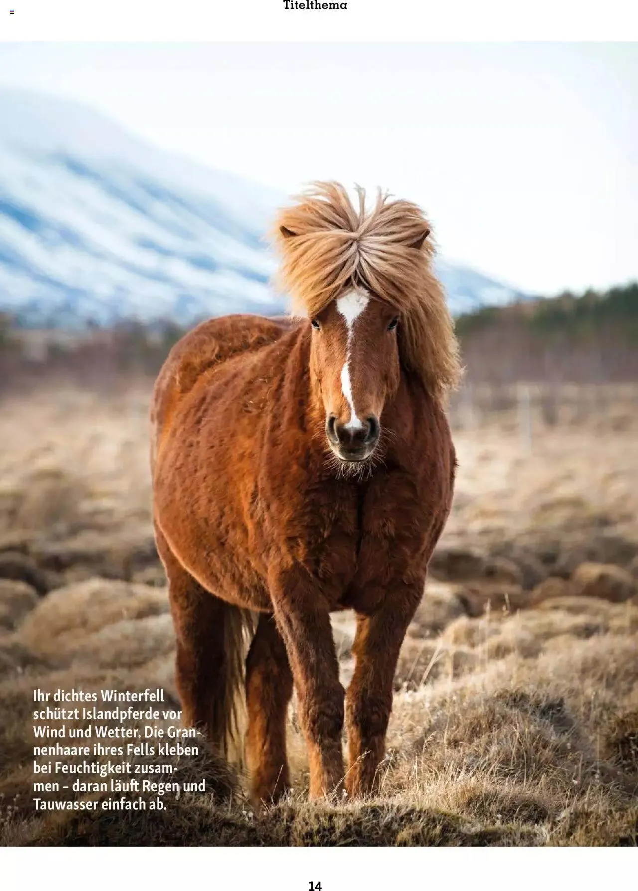 Fressnapf Aktionen von 1. November bis 31. Dezember 2023 - Prospekt seite  14