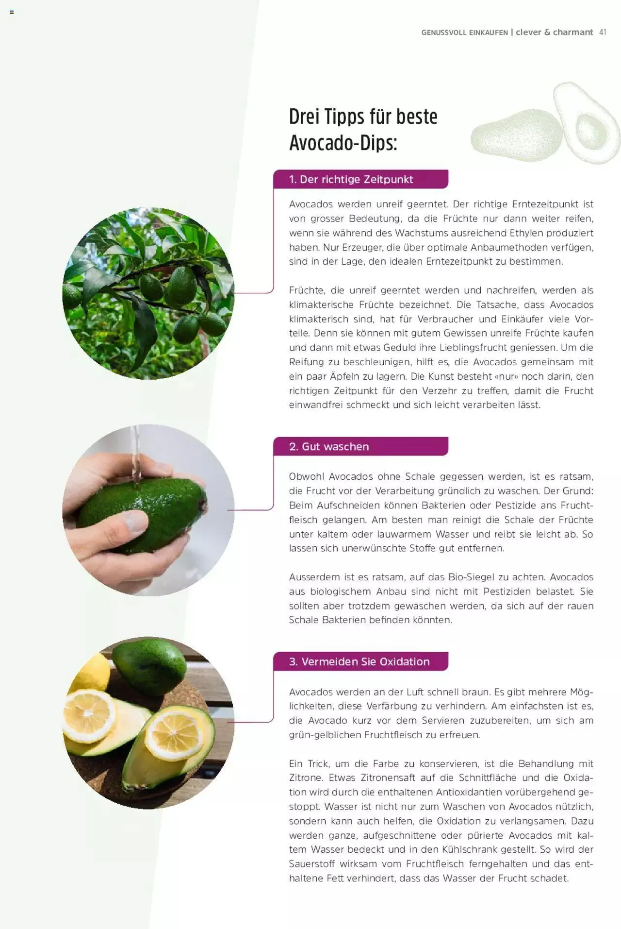 TopCC Clever und Charmant von 1. Mai bis 31. Dezember 2023 - Prospekt seite  41