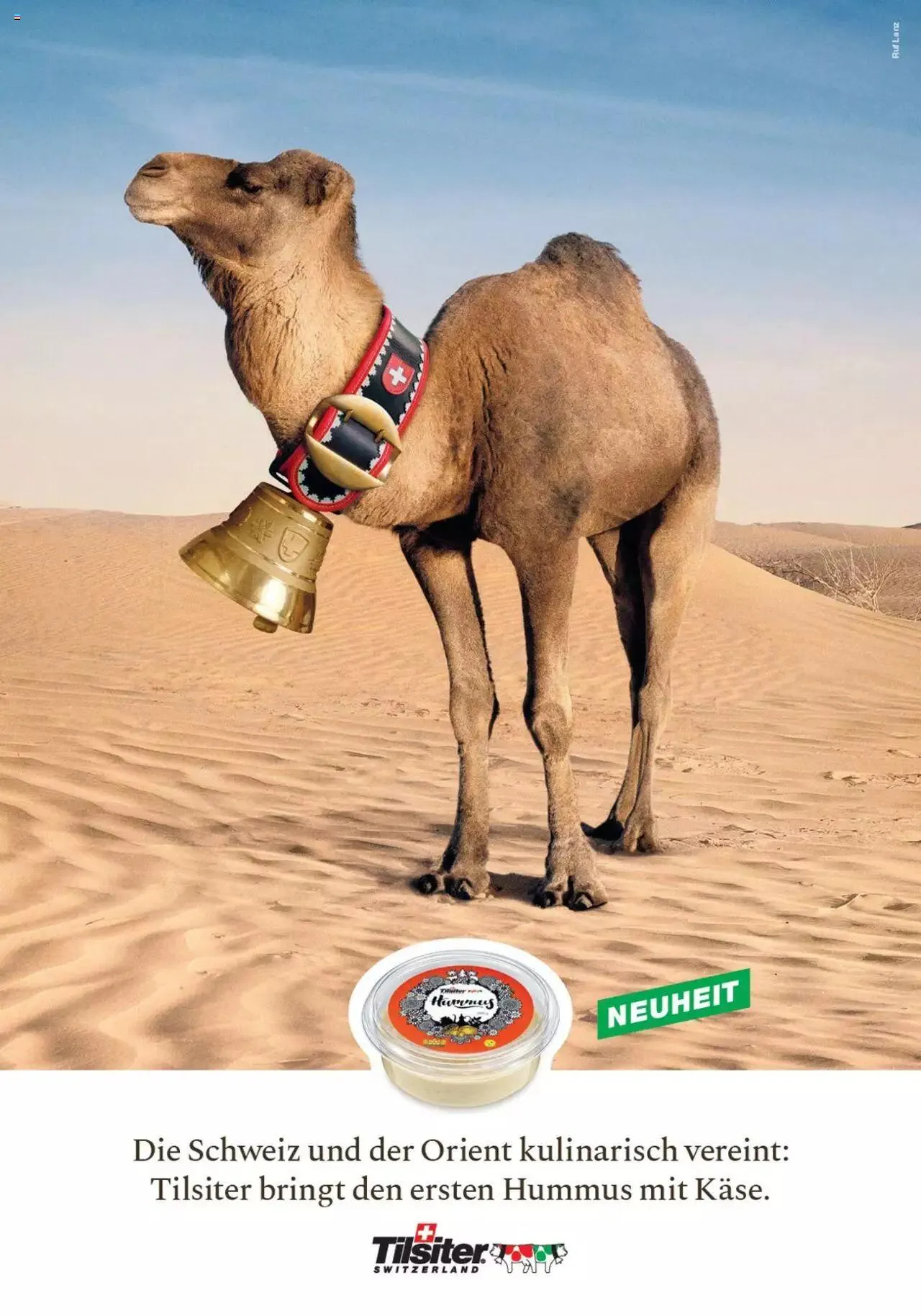 SPAR - Kundenmagazin 06 von 23. November bis 31. Dezember 2023 - Prospekt seite  11