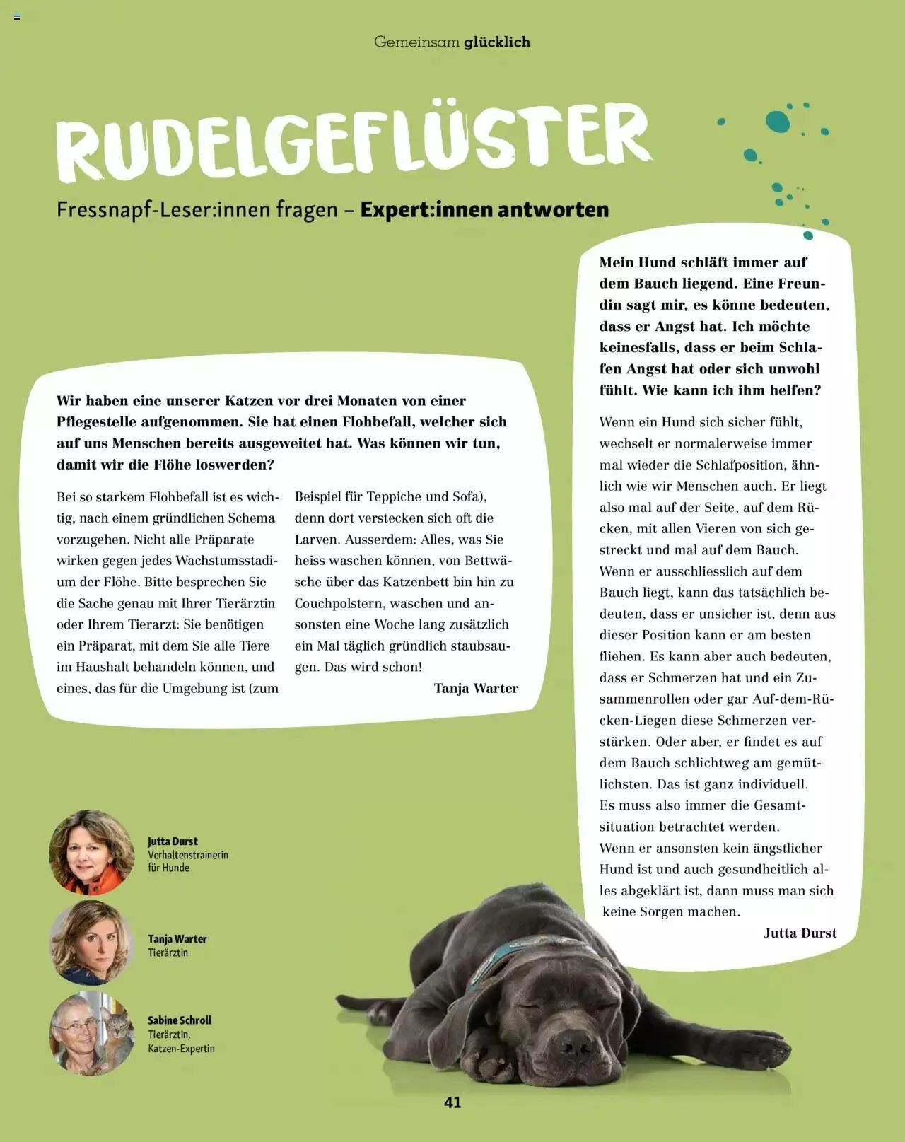 Fressnapf Aktionen von 1. November bis 31. Dezember 2023 - Prospekt seite 41