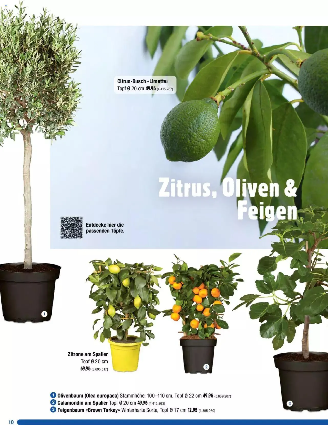 Jumbo Dein Garten 2023 von 20. März bis 31. Dezember 2023 - Prospekt seite 10