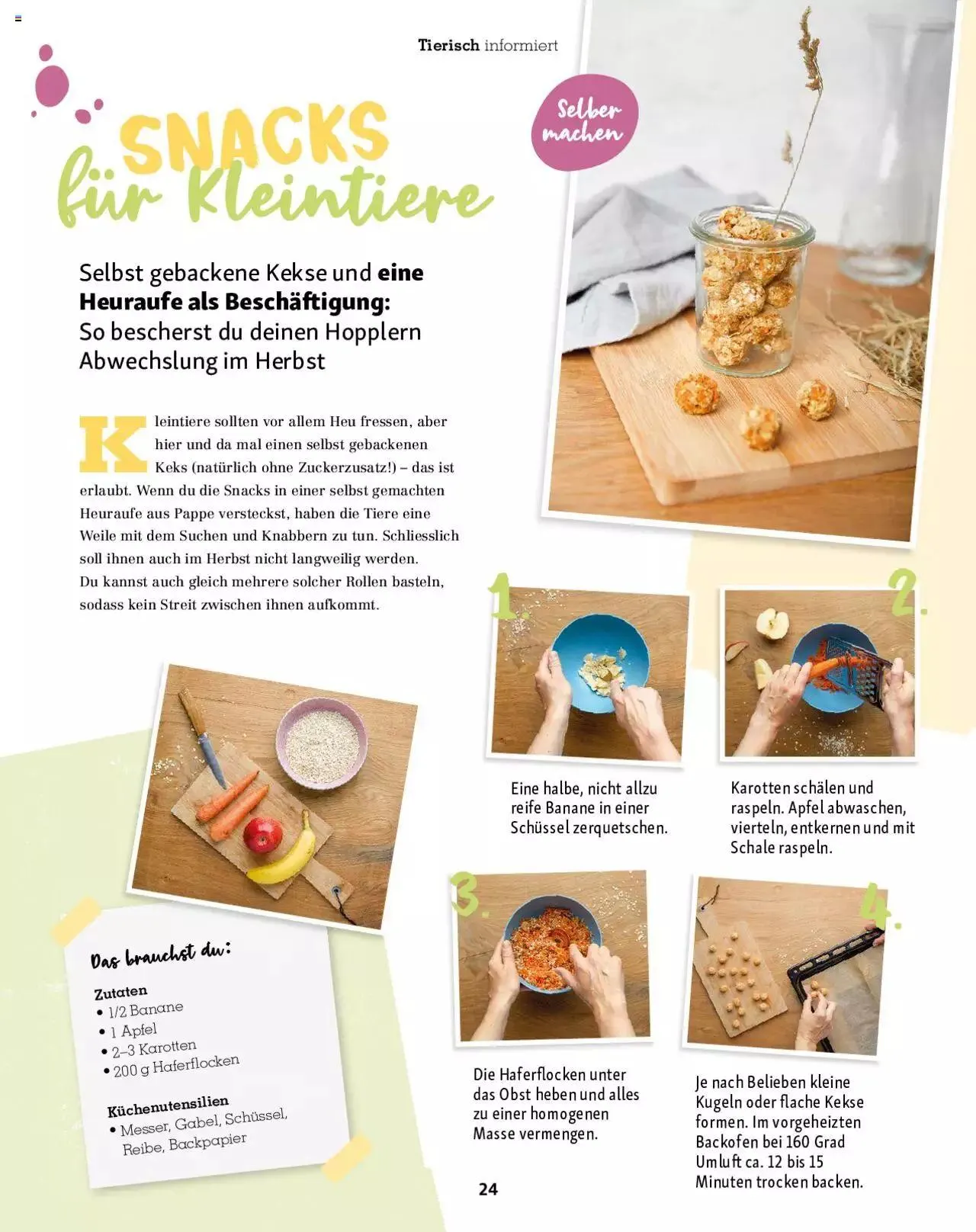 Fressnapf Magazin von 1. September bis 31. Oktober 2023 - Prospekt seite 24