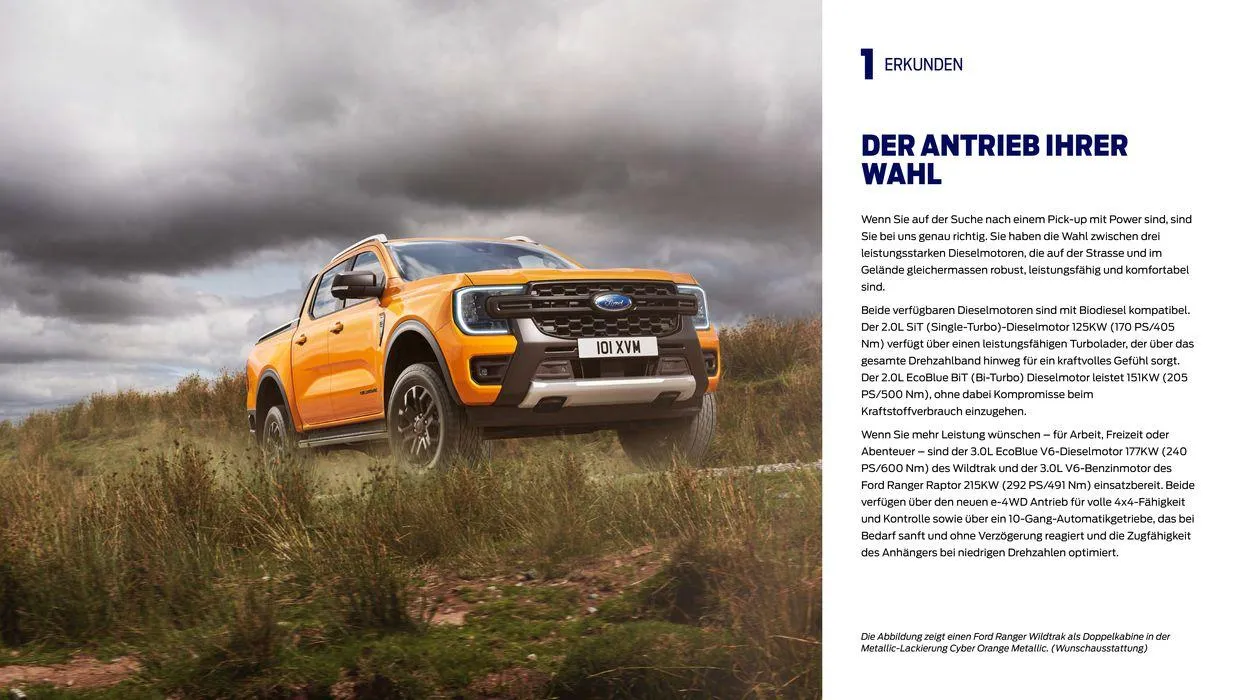 Der Neue Ranger von 7. November bis 7. November 2024 - Prospekt seite  8