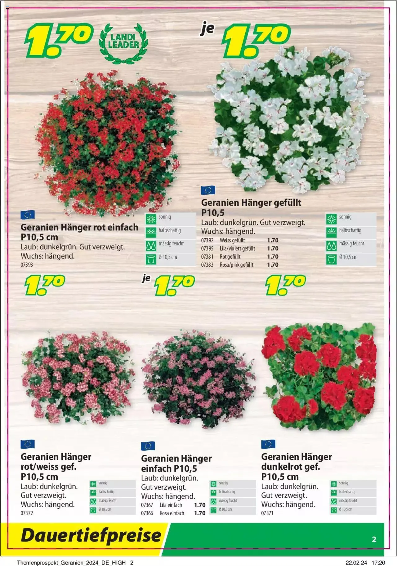 Landi Aktionen Geranien von 9. April bis 31. Dezember 2024 - Prospekt seite  2