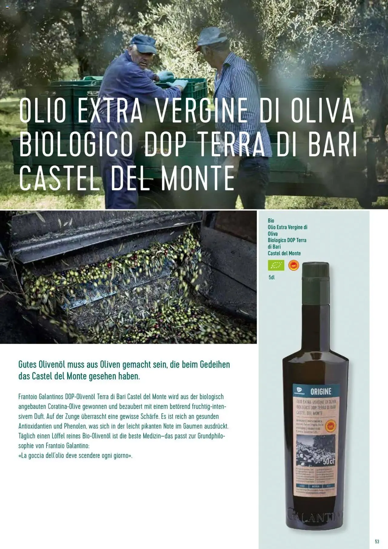 Prodega Aktionen Origine Sortimentsbroschüre von 1. Mai bis 31. Dezember 2024 - Prospekt seite  53