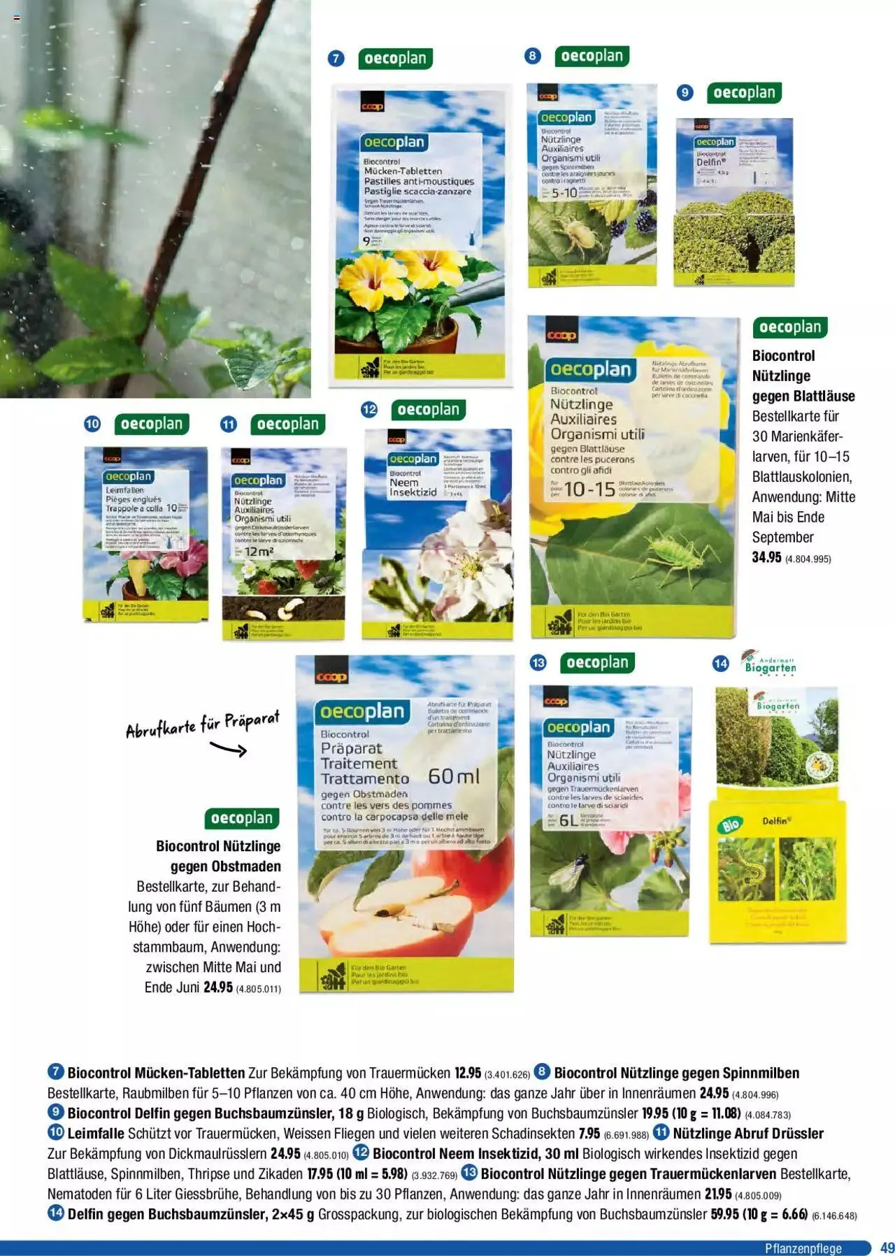 Jumbo Dein Garten 2023 von 20. März bis 31. Dezember 2023 - Prospekt seite 49