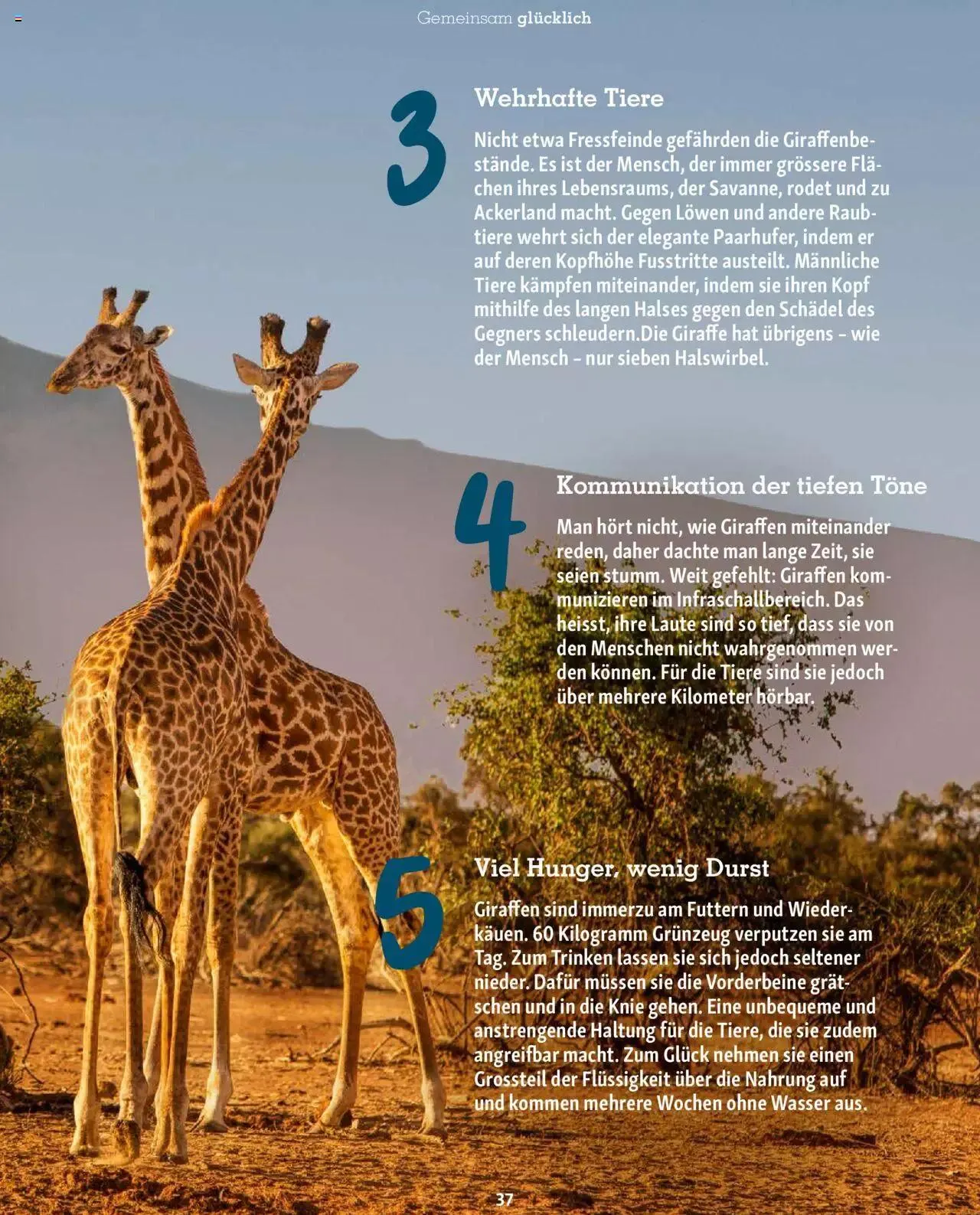 Fressnapf Aktionen von 1. November bis 31. Dezember 2023 - Prospekt seite 37