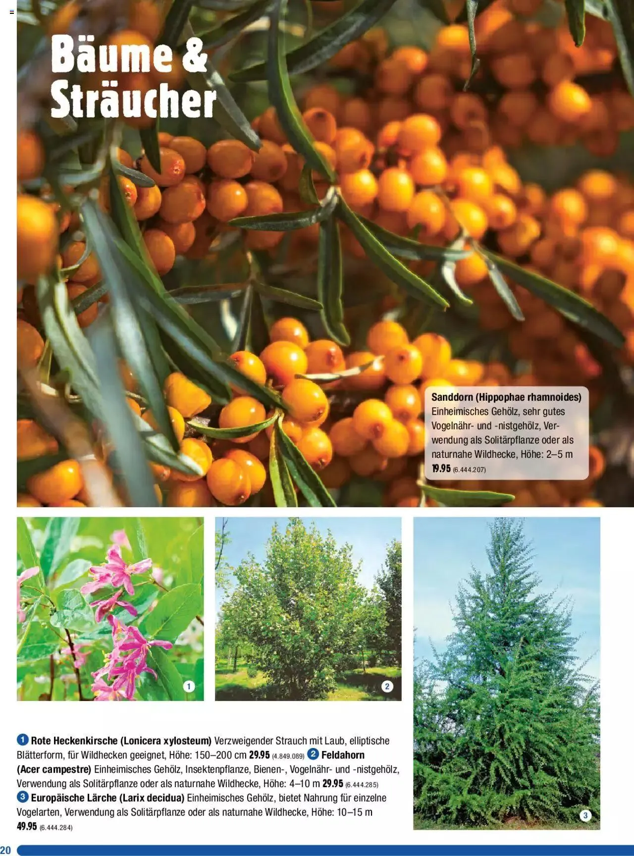 Jumbo Dein Garten 2023 von 20. März bis 31. Dezember 2023 - Prospekt seite 20