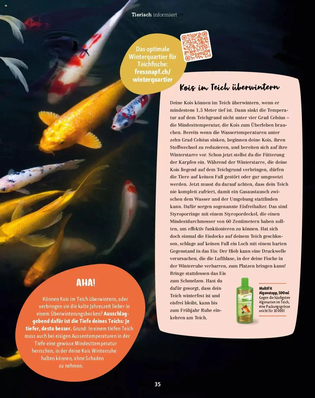 Fressnapf Magazin von 1. September bis 31. Oktober 2023 - Prospekt seite  35