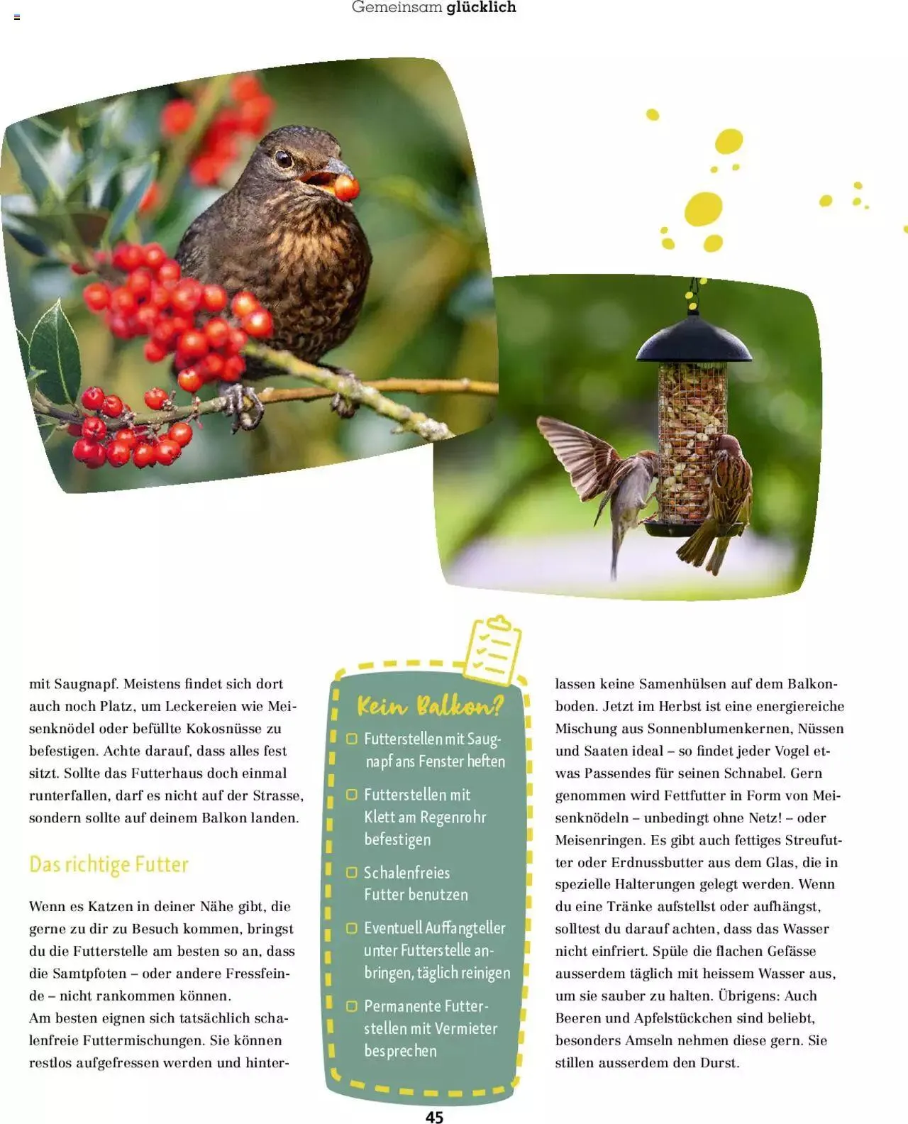 Fressnapf Magazin von 1. September bis 31. Oktober 2023 - Prospekt seite 45