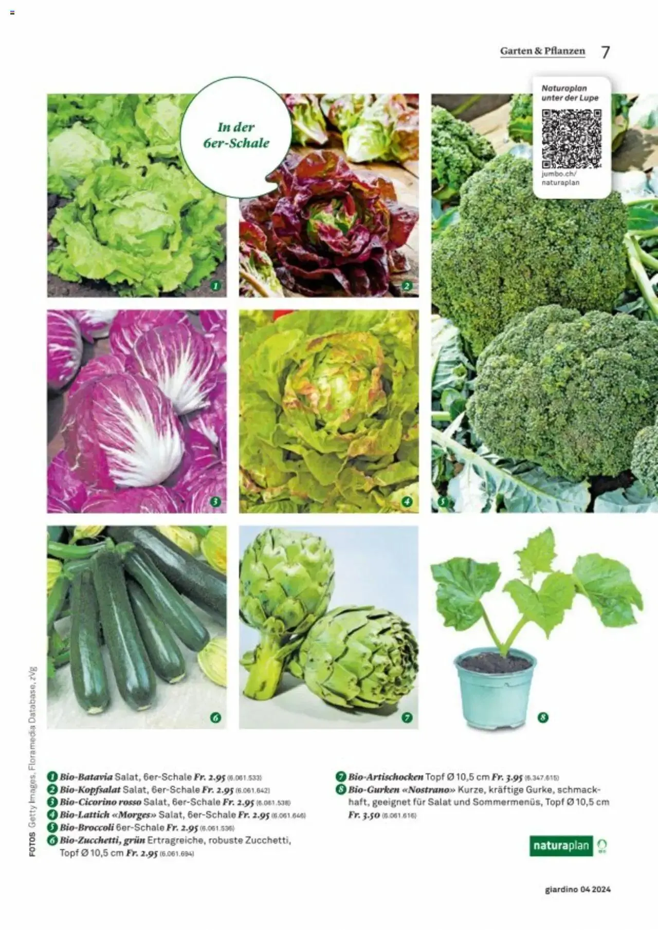 Jumbo Aktionen giardino von 21. Oktober bis 31. Dezember 2024 - Prospekt seite  7