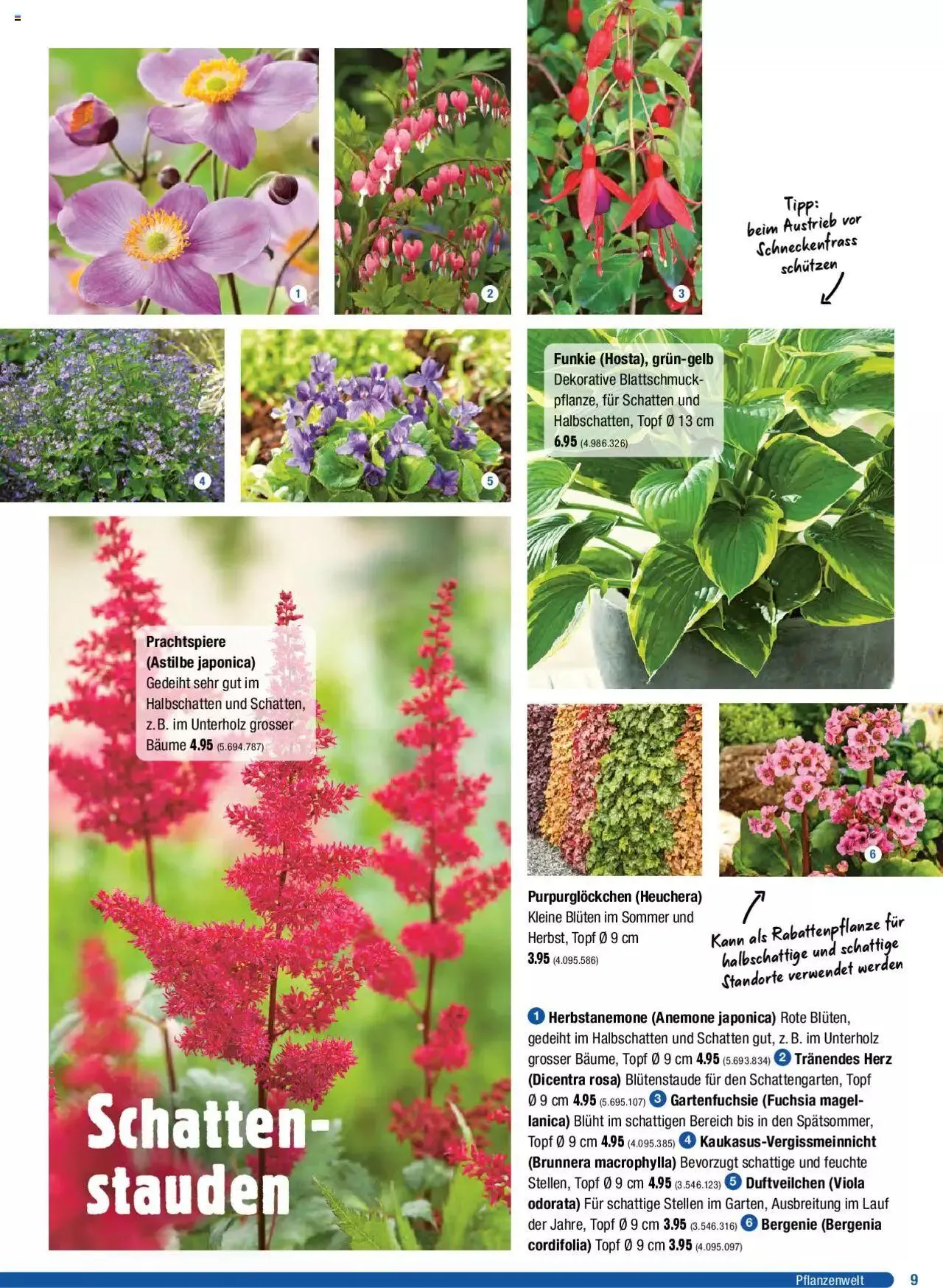 Jumbo Dein Garten 2023 von 20. März bis 31. Dezember 2023 - Prospekt seite 9