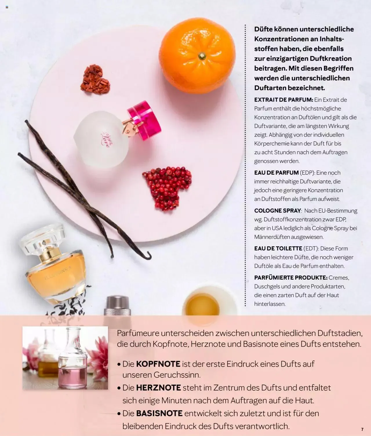 Mary Kay - Duftkatalog von 27. September bis 31. Dezember 2023 - Prospekt seite  7