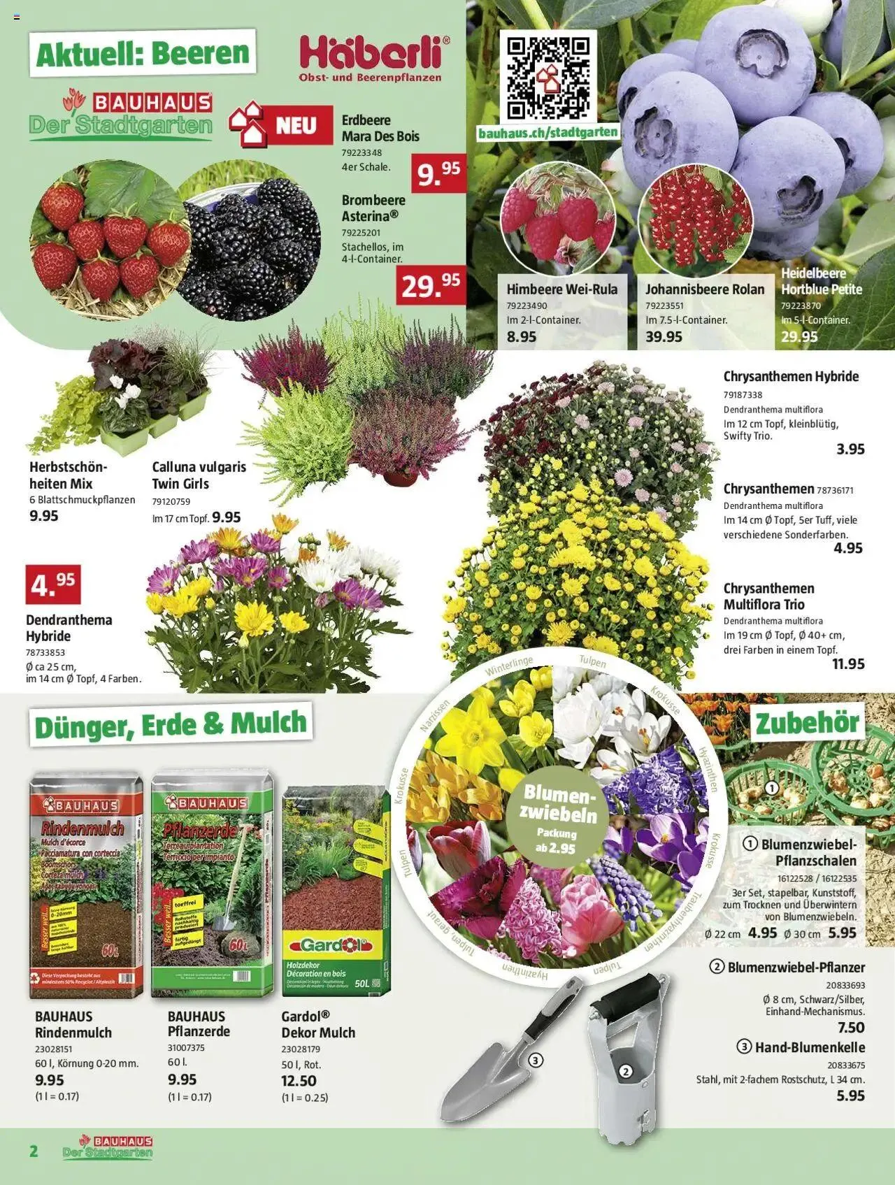 Bauhaus Aktionen von 26. August bis 29. September 2024 - Prospekt seite  2