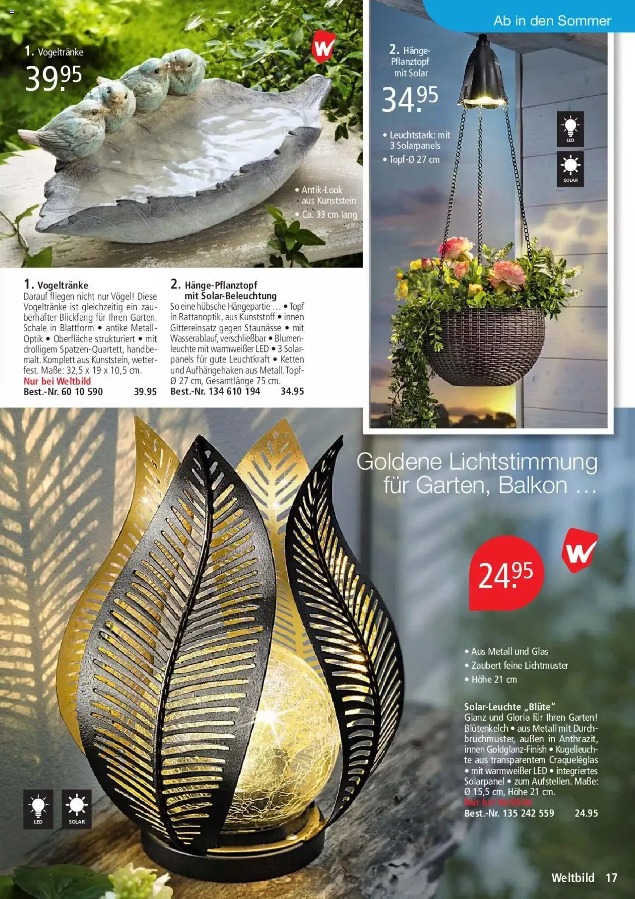 Weltbild Aktionen von 1. Juli bis 31. Juli 2023 - Prospekt seite  17