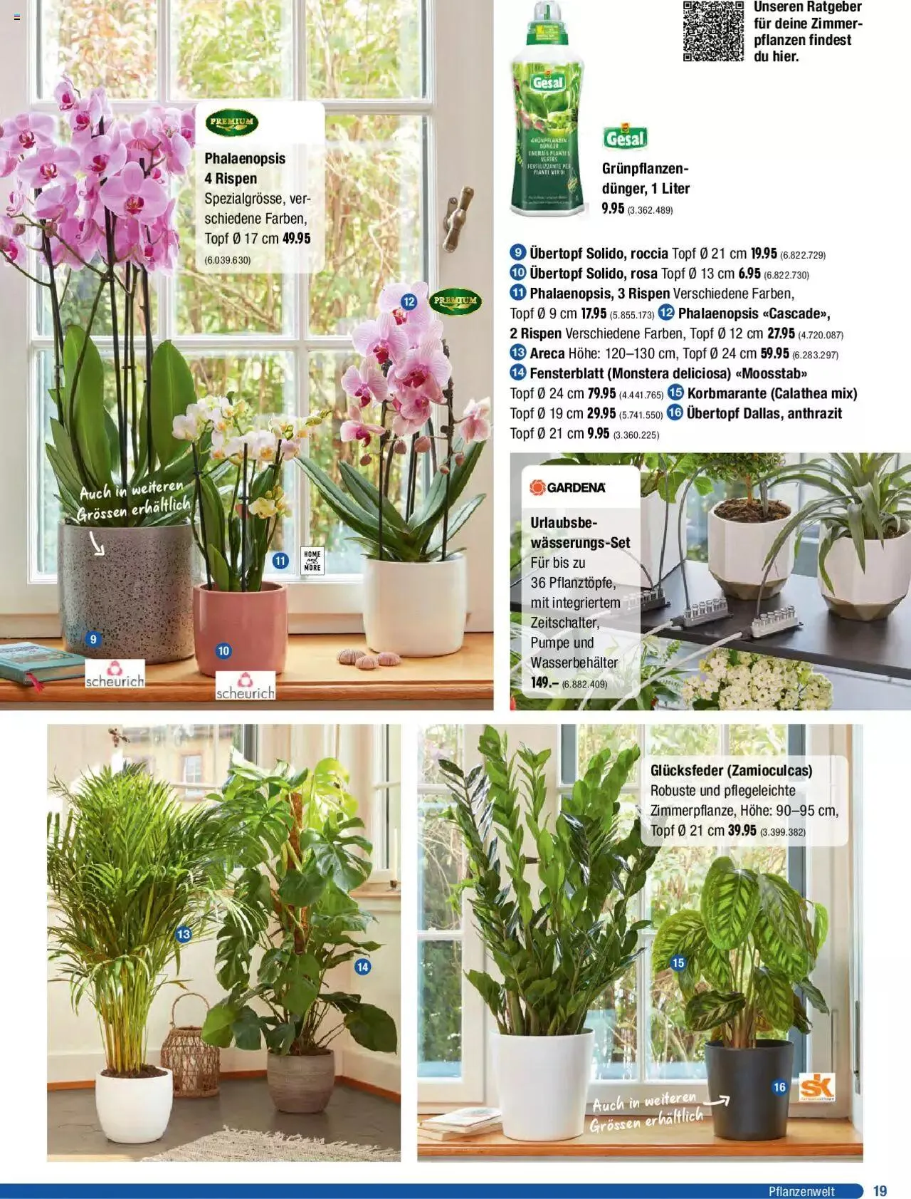 Jumbo Dein Garten 2023 von 20. März bis 31. Dezember 2023 - Prospekt seite 19