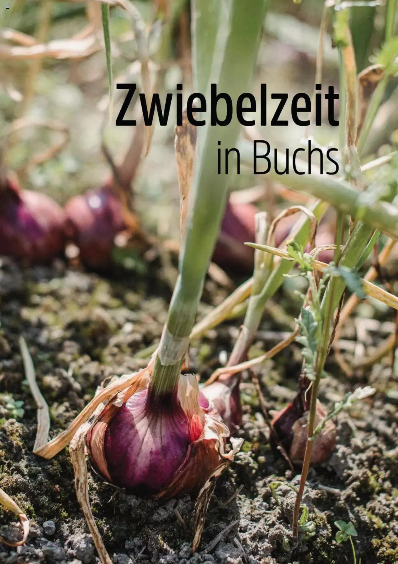 TopCC Clever und Charmant von 23. August bis 31. Dezember 2023 - Prospekt seite 40