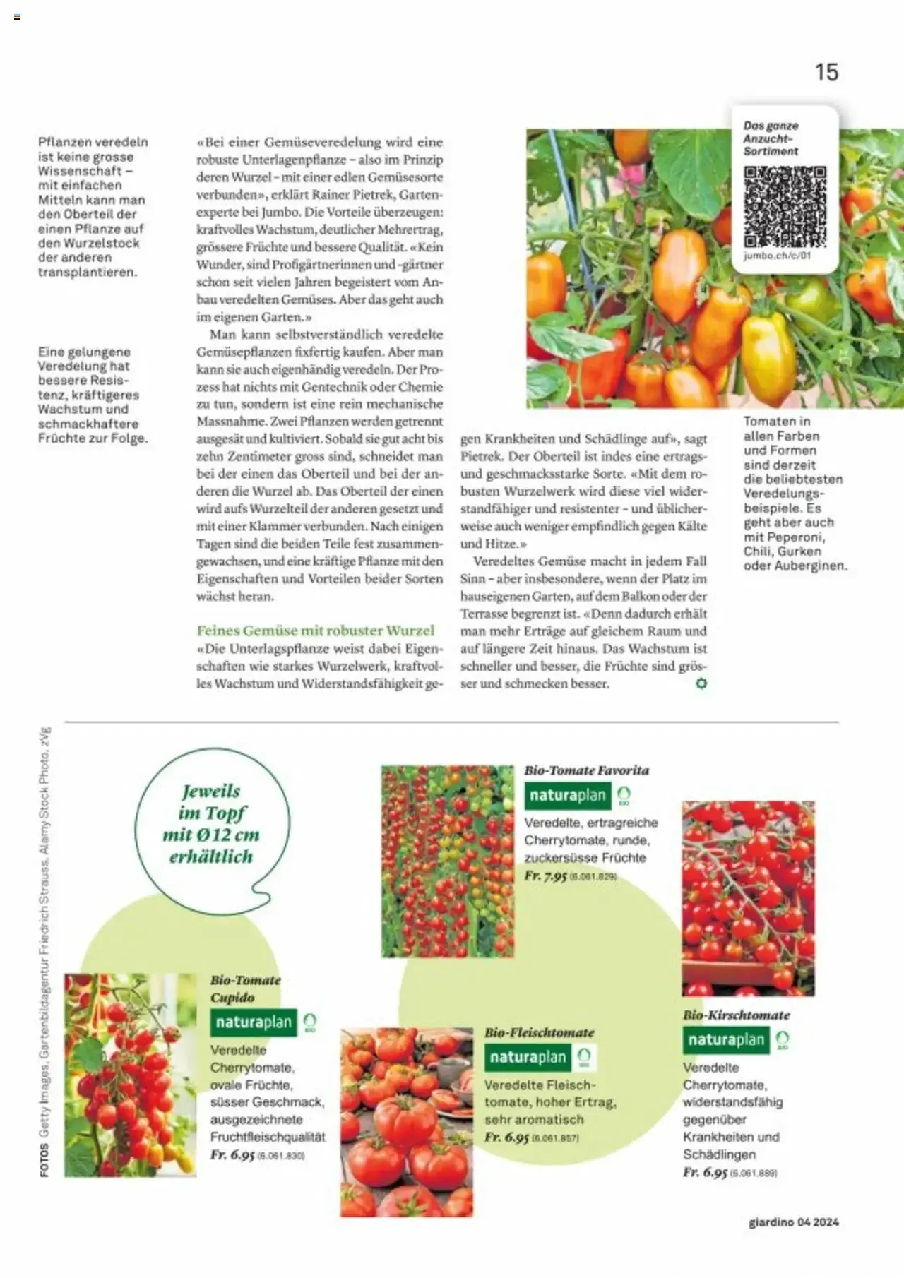 Jumbo Aktionen giardino von 21. Oktober bis 31. Dezember 2024 - Prospekt seite  15
