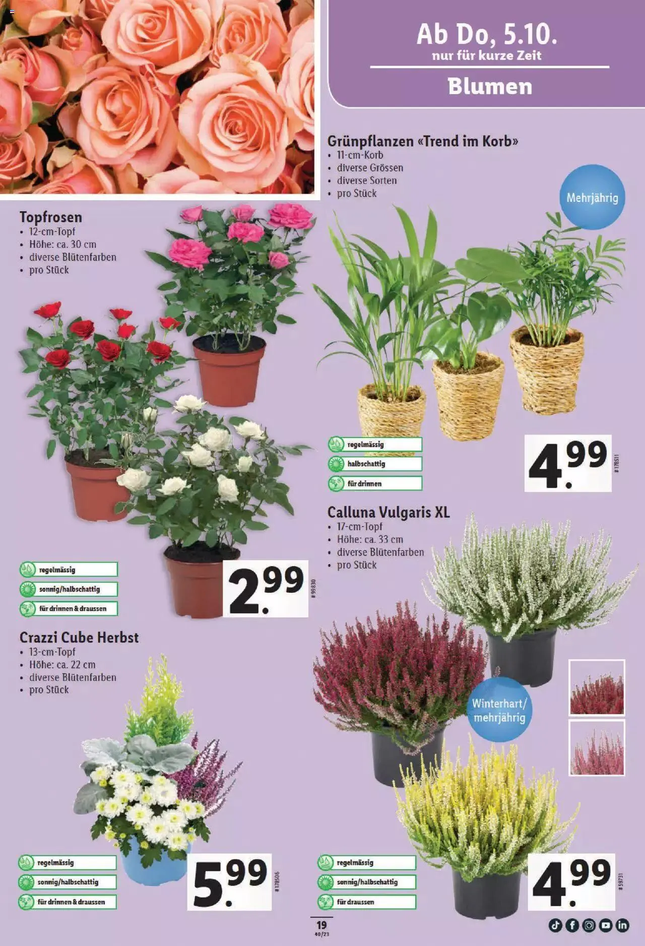 Lidl Aktionen von 5. Oktober bis 11. Oktober 2023 - Prospekt seite  19