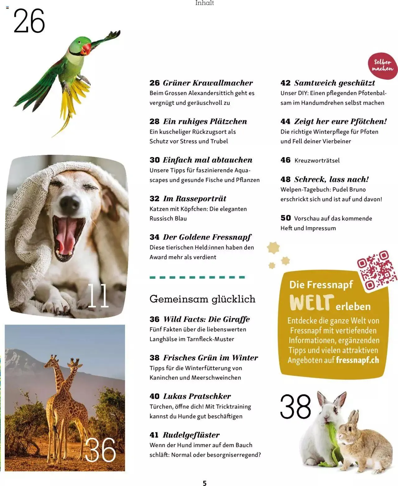 Fressnapf Magazin von 1. November bis 31. Dezember 2023 - Prospekt seite  5