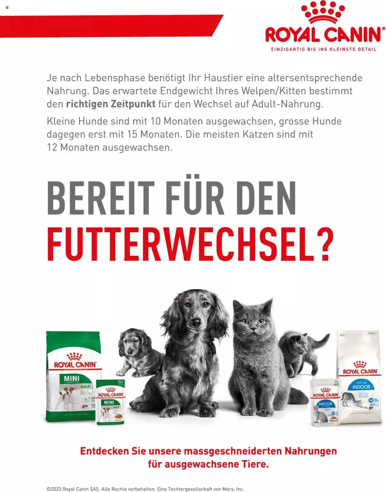 Fressnapf Magazin von 1. September bis 31. Oktober 2023 - Prospekt seite 2