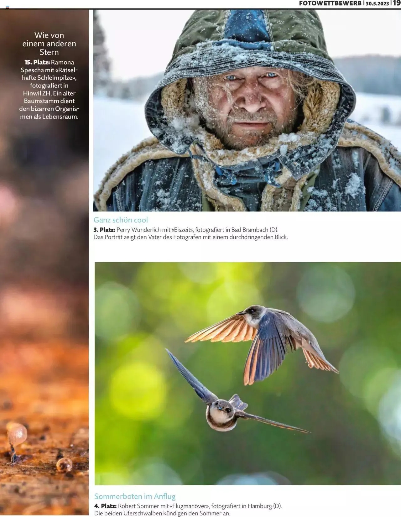 Migros Magazin von 30. Mai bis 31. Dezember 2023 - Prospekt seite  19