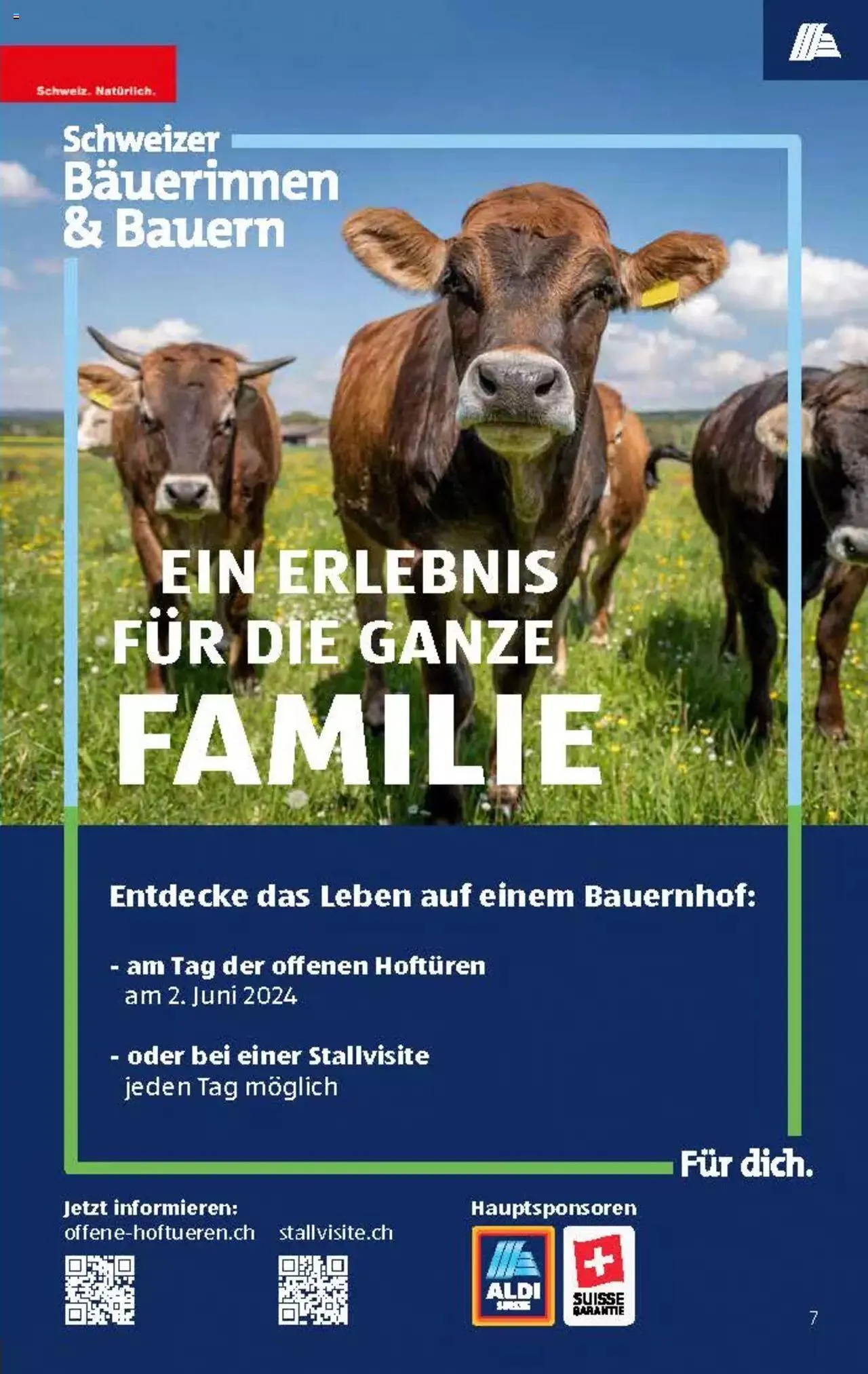 Aldi Aktionen von 16. Mai bis 22. Mai 2024 - Prospekt seite  6