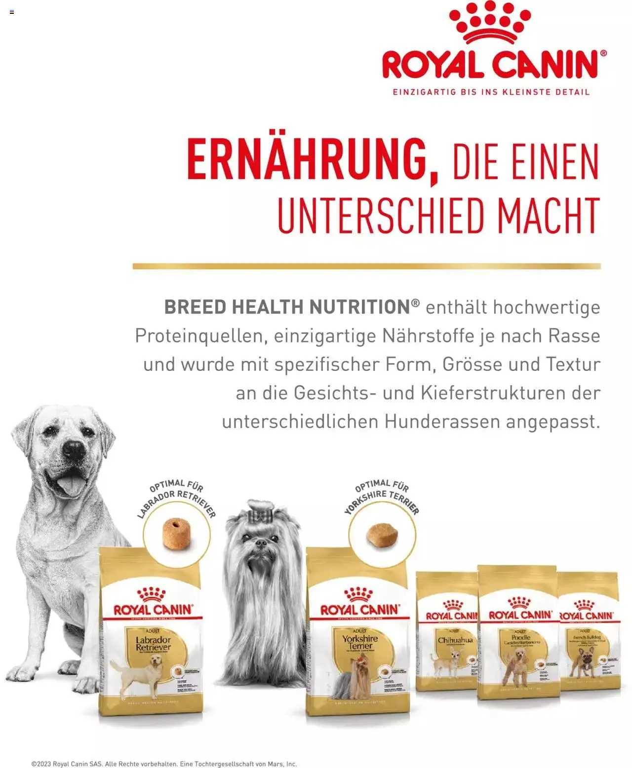 Fressnapf Magazin von 1. November bis 31. Dezember 2023 - Prospekt seite  33