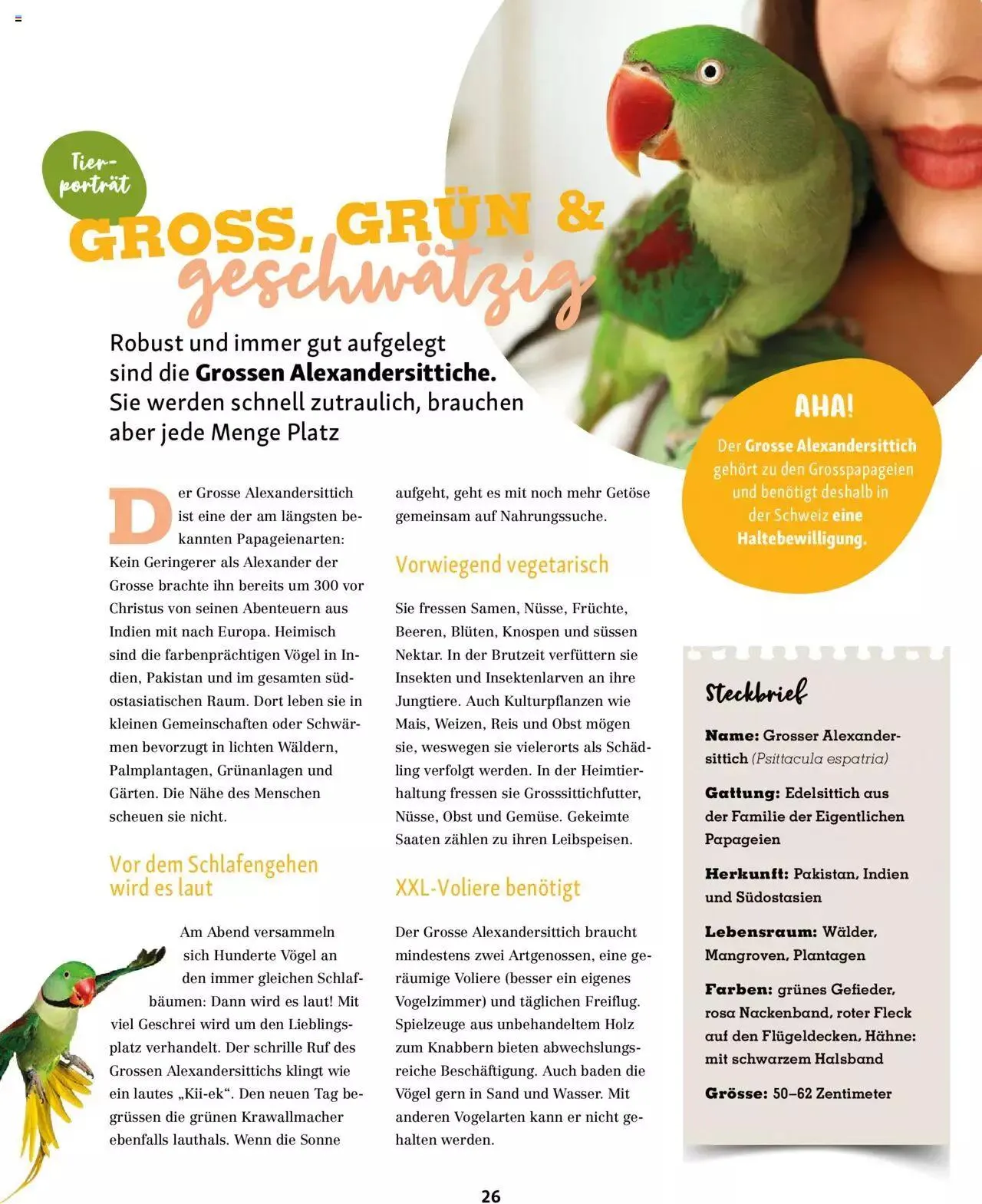 Fressnapf Magazin von 1. November bis 31. Dezember 2023 - Prospekt seite 26