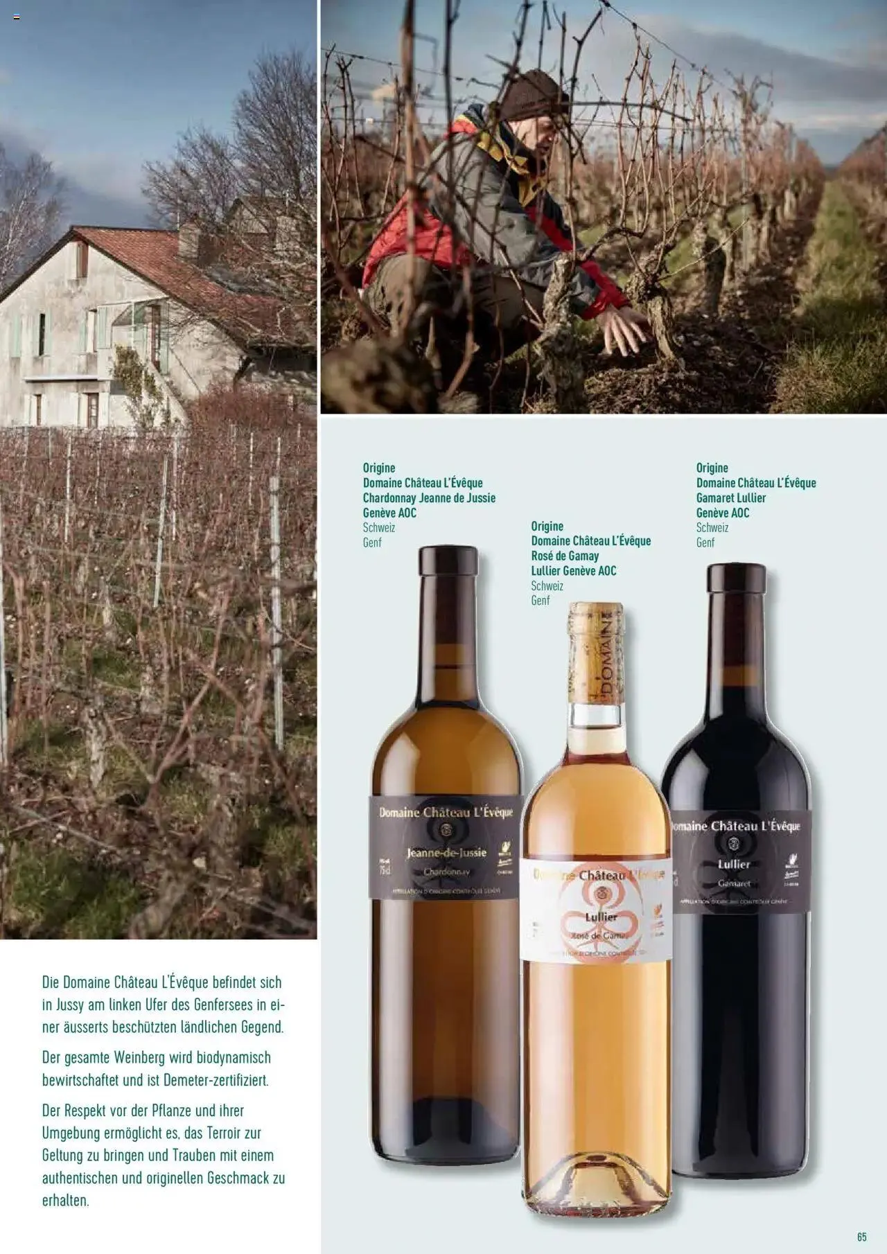 Prodega Aktionen Origine Sortimentsbroschüre von 1. Mai bis 31. Dezember 2024 - Prospekt seite  65