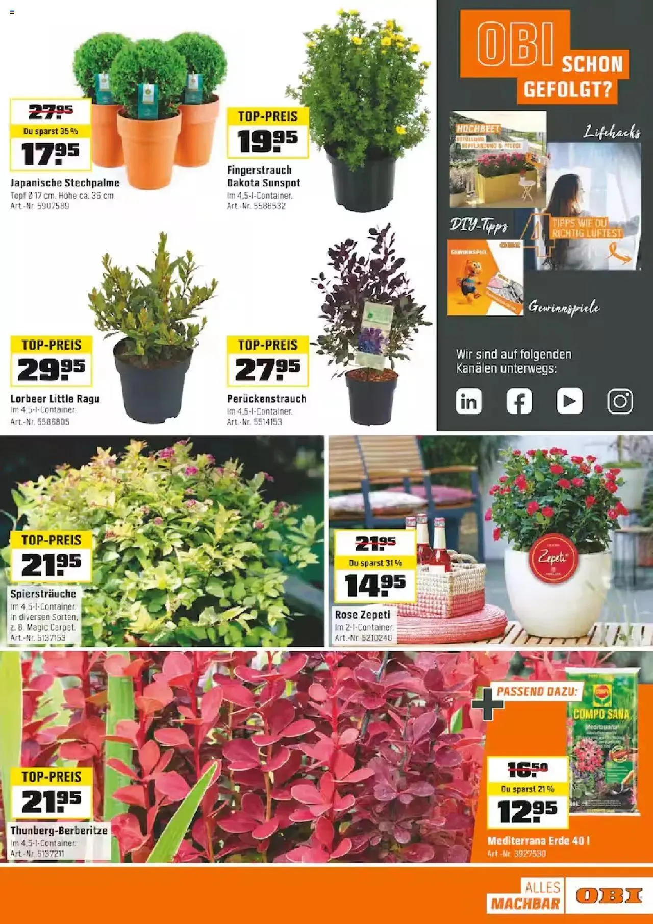 OBI Aktionen von 3. Juni bis 15. Juni 2024 - Prospekt seite 5