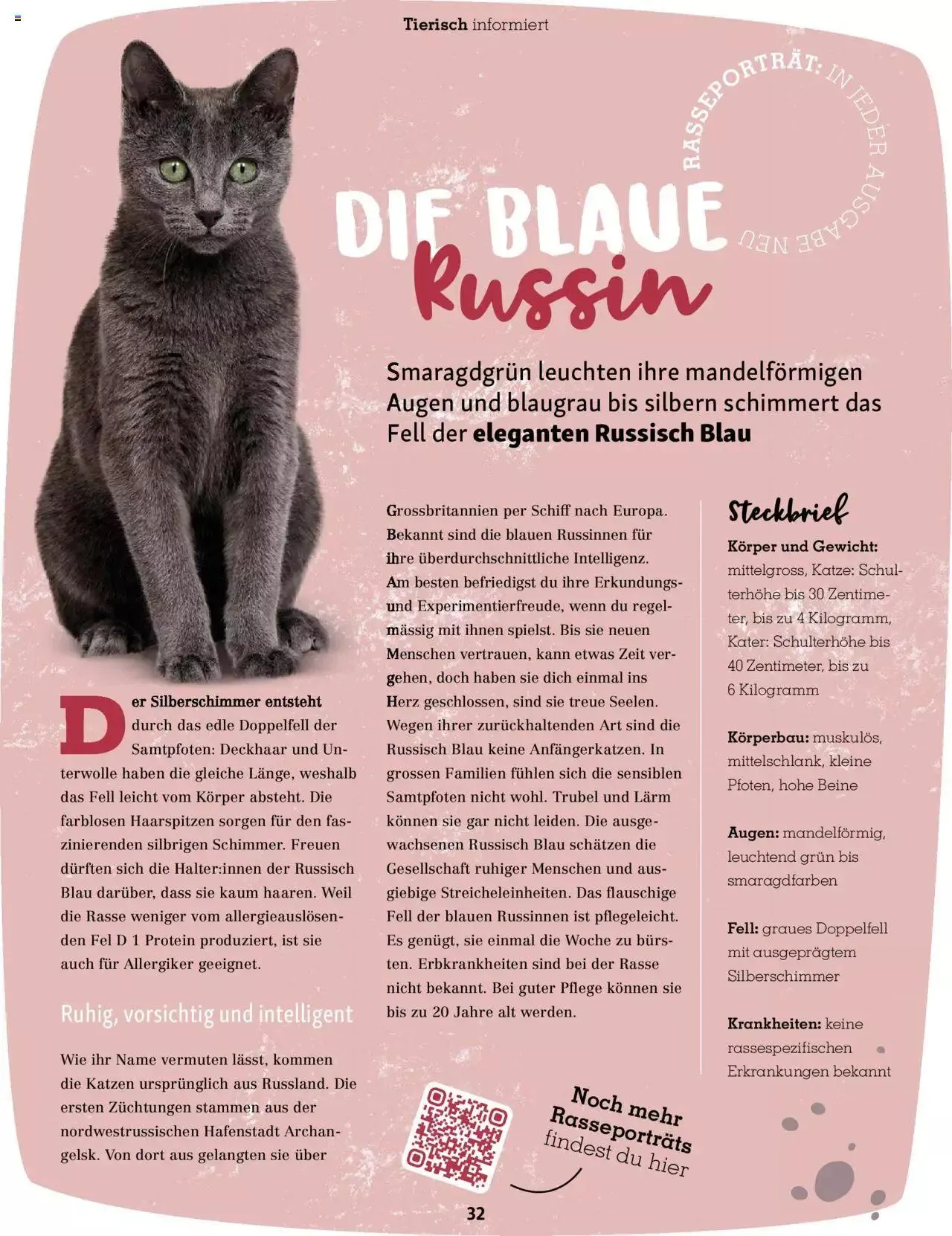 Fressnapf Magazin von 1. November bis 31. Dezember 2023 - Prospekt seite 32