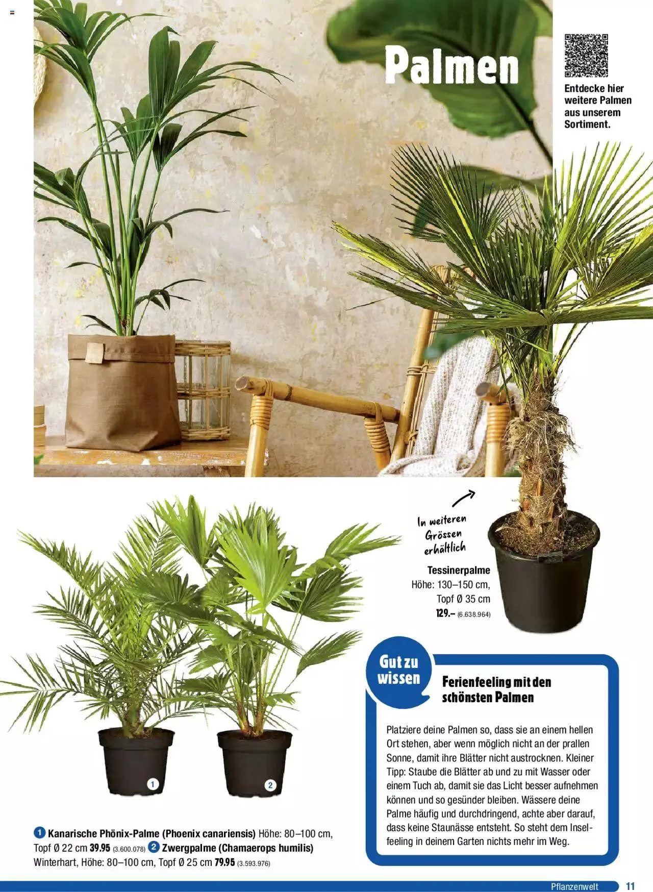 Jumbo Dein Garten 2023 von 20. März bis 31. Dezember 2023 - Prospekt seite 11