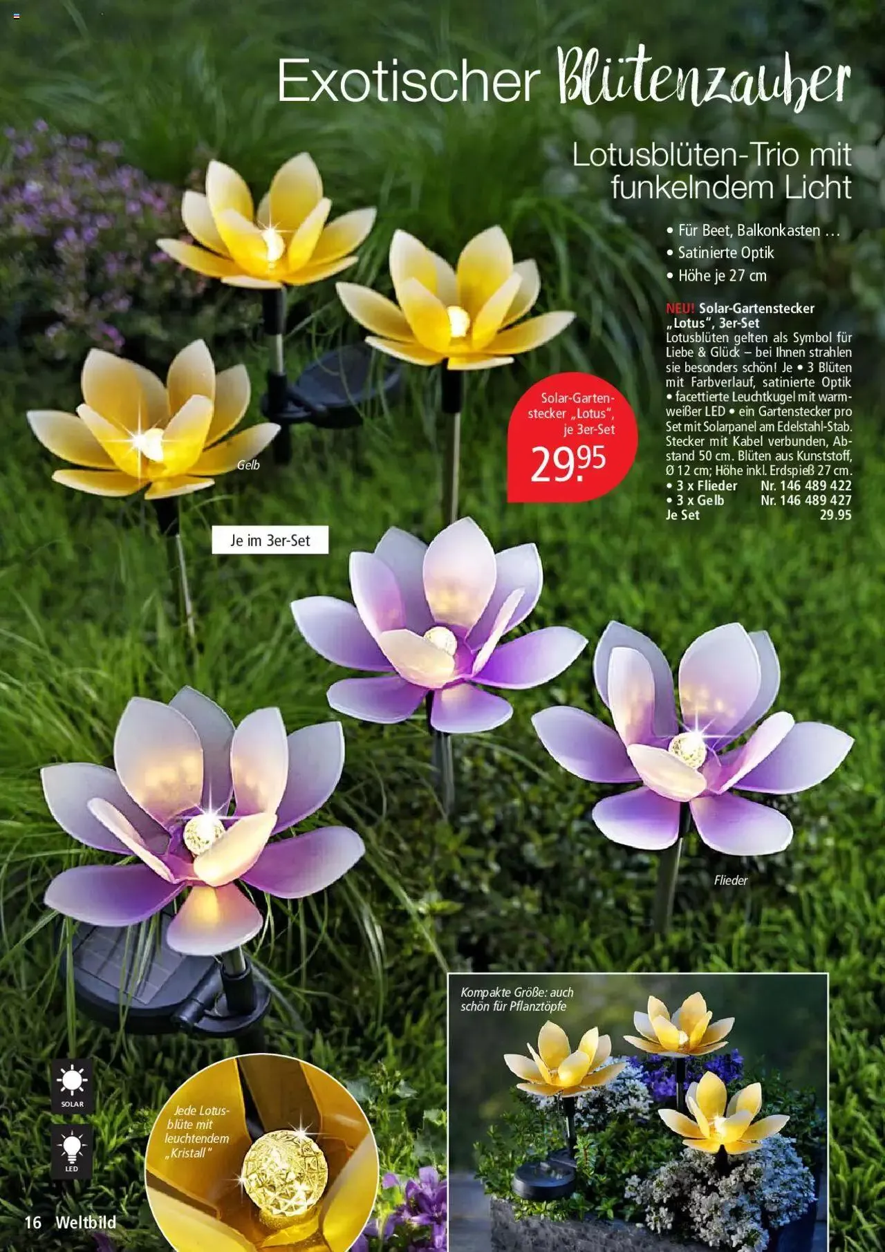 Weltbild Aktionen von 1. Juli bis 31. Juli 2023 - Prospekt seite  16