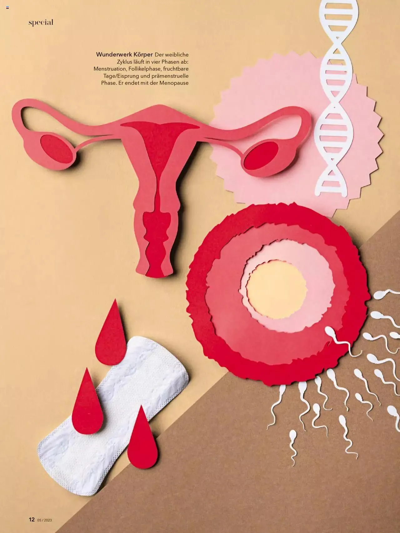 Coop City Aktionen von 12. September bis 31. Dezember 2023 - Prospekt seite  12