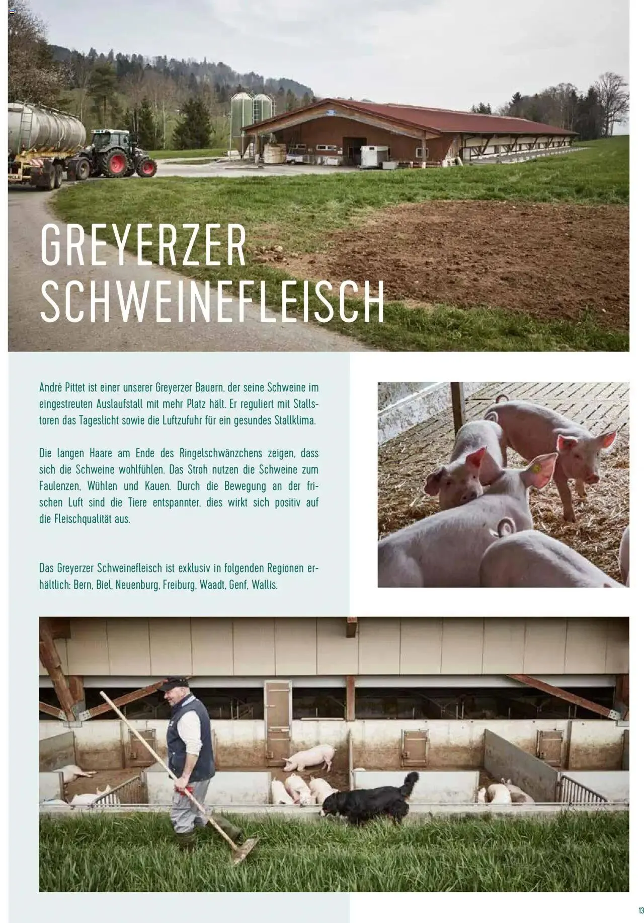 Prodega Aktionen Origine Sortimentsbroschüre von 1. Mai bis 31. Dezember 2024 - Prospekt seite  13