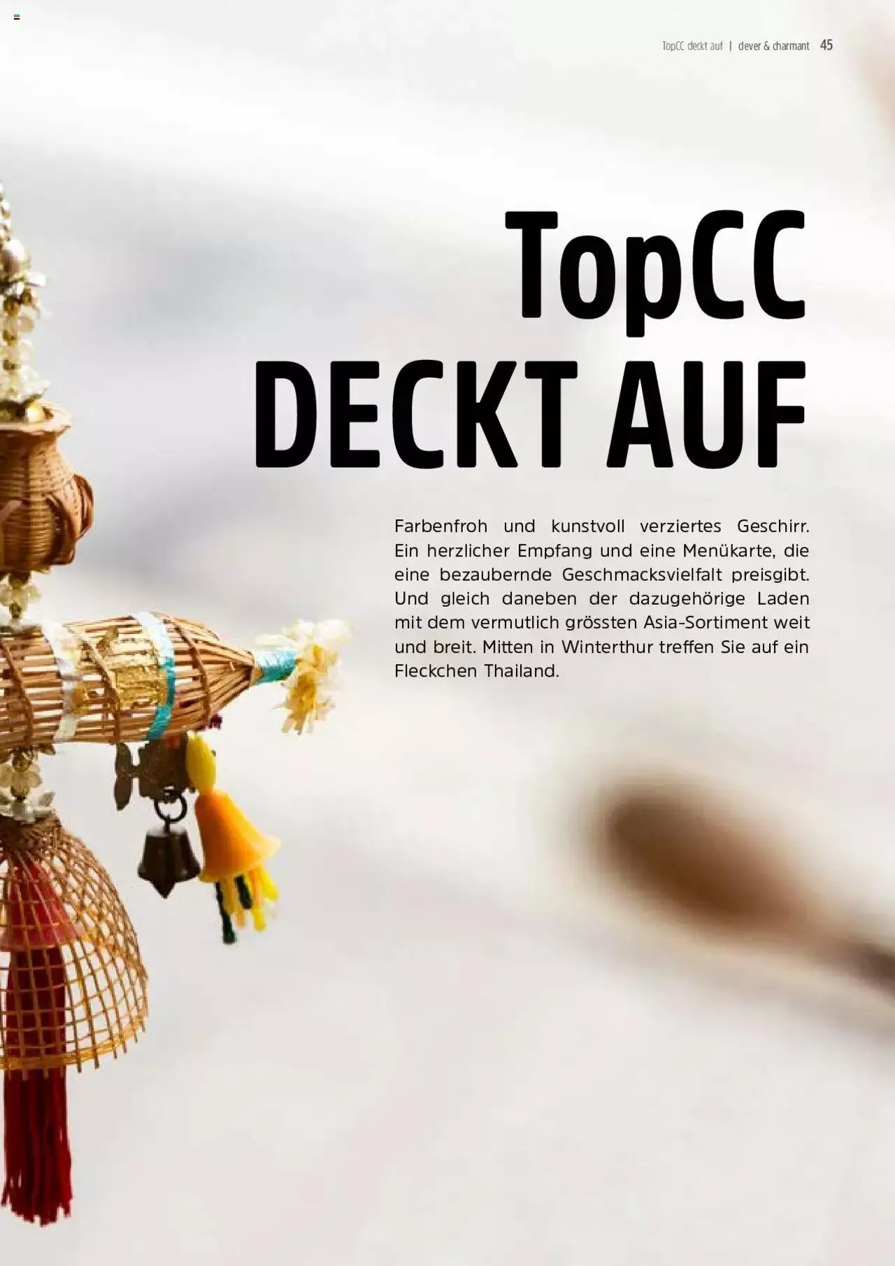 TopCC Kundenmagazin 4 von 1. November bis 31. Dezember 2024 - Prospekt seite  45