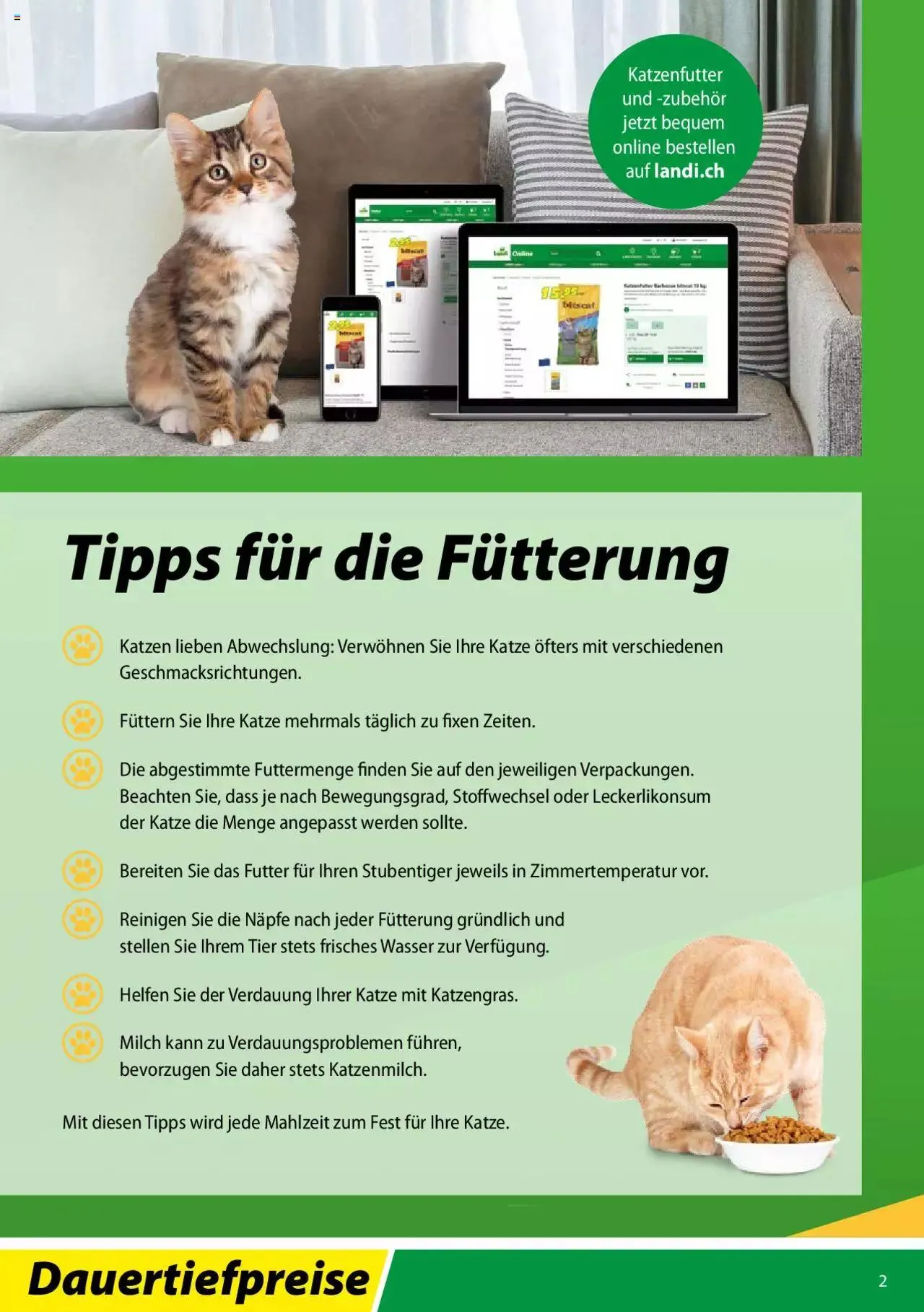 Landi - Bitscat 2022 von 12. Januar bis 31. Dezember 2023 - Prospekt seite  2