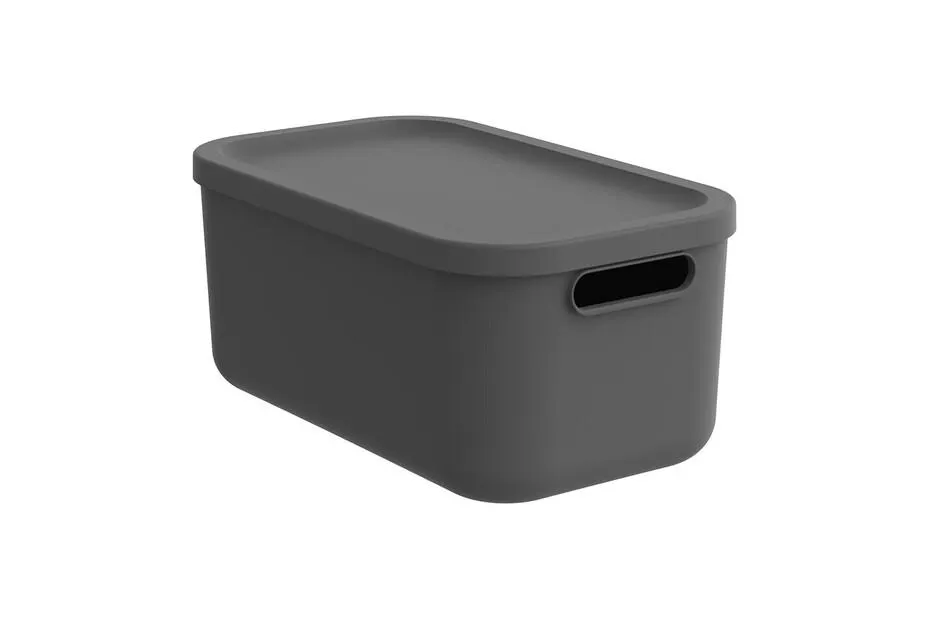 Rotho Box 12 l Albula Light