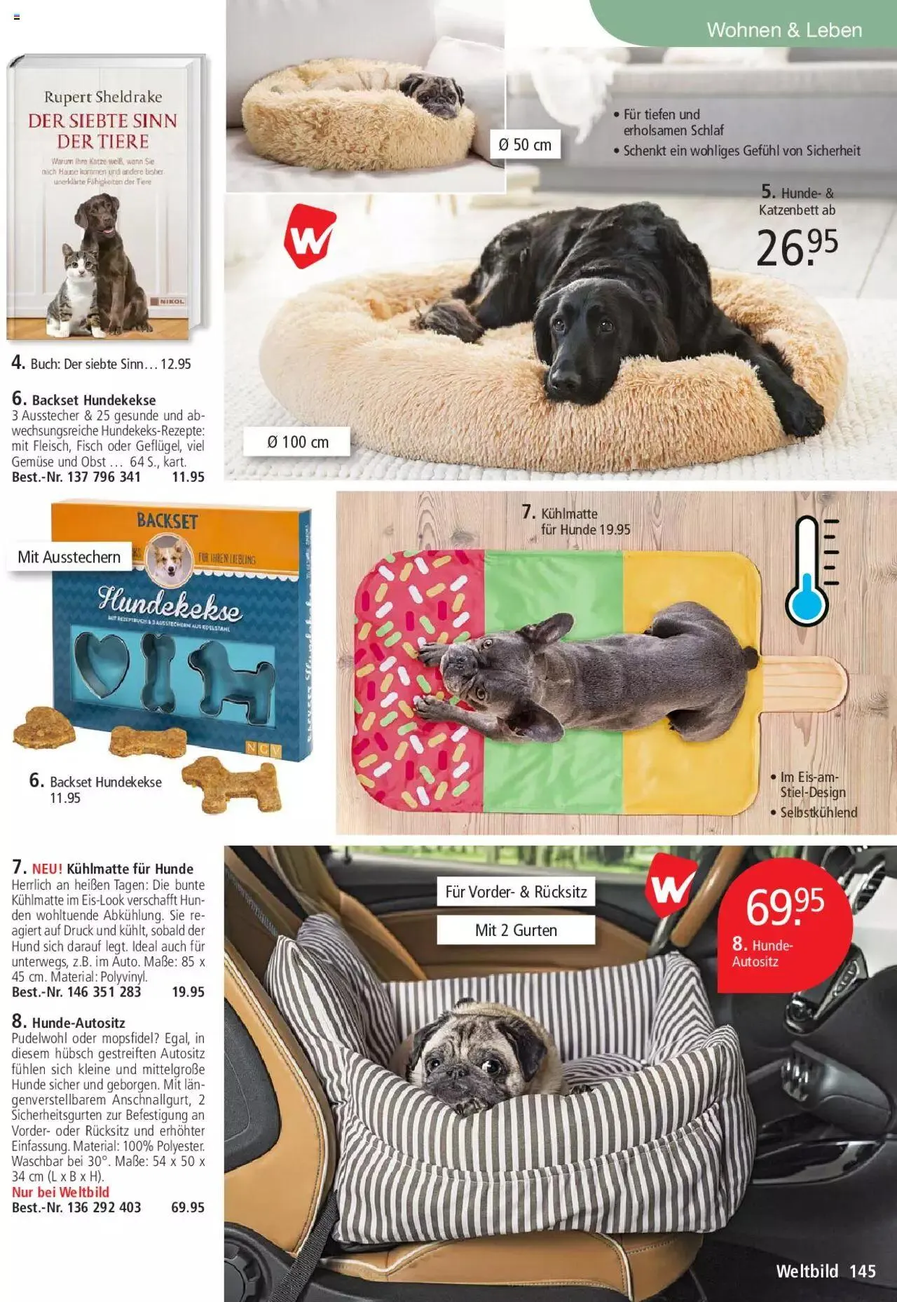 Weltbild Aktionen von 1. Juli bis 31. Juli 2023 - Prospekt seite 145