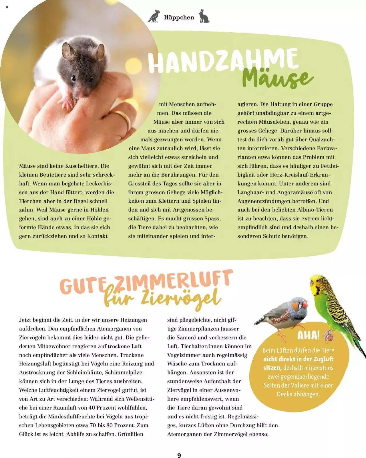 Fressnapf Magazin von 1. September bis 31. Oktober 2023 - Prospekt seite 9