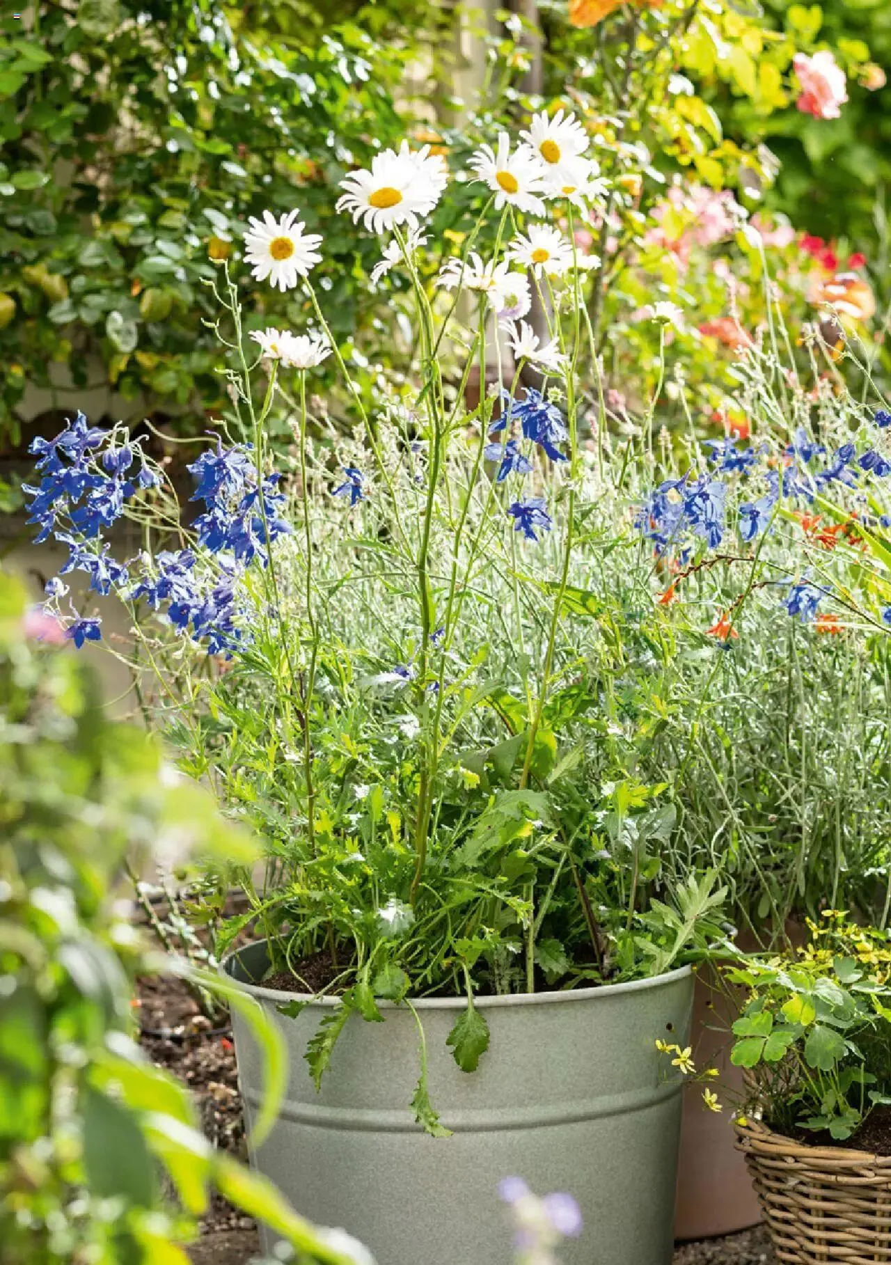 DO IT+GARDEN MIGROS - Biodiversität Broschüre von 9. März bis 31. Dezember 2023 - Prospekt seite  17