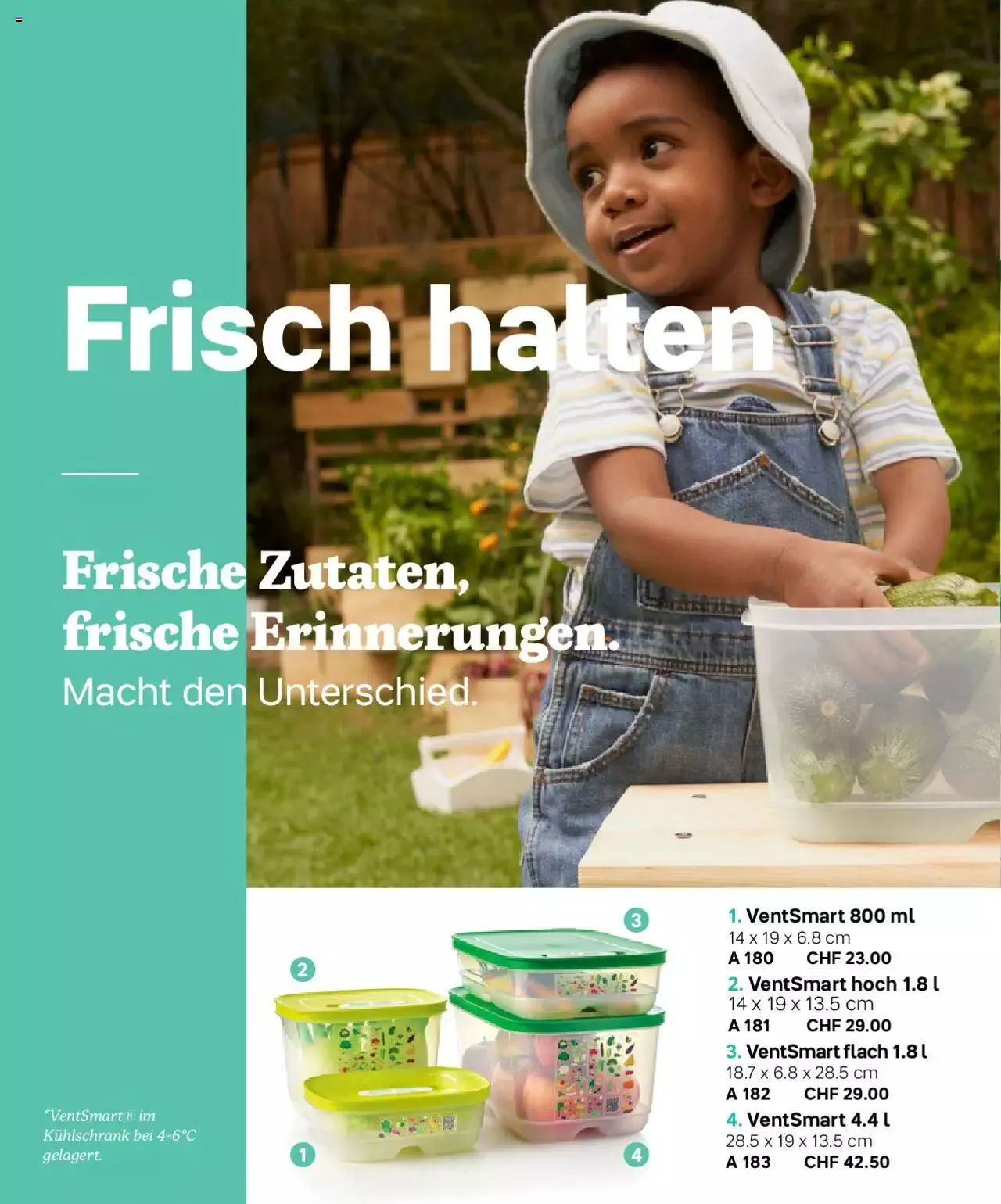 Tupperware Frühling & Sommer 2023 von 8. März bis 31. Dezember 2023 - Prospekt seite 36