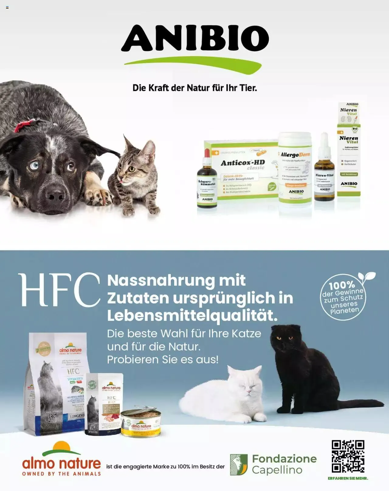 Fressnapf Magazin von 1. September bis 31. Oktober 2023 - Prospekt seite 39