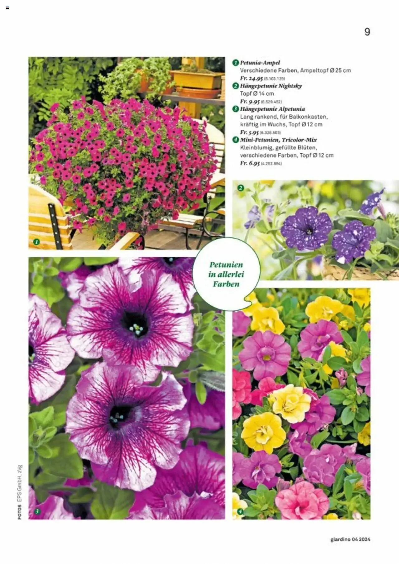 Jumbo Aktionen giardino von 21. Oktober bis 31. Dezember 2024 - Prospekt seite  9