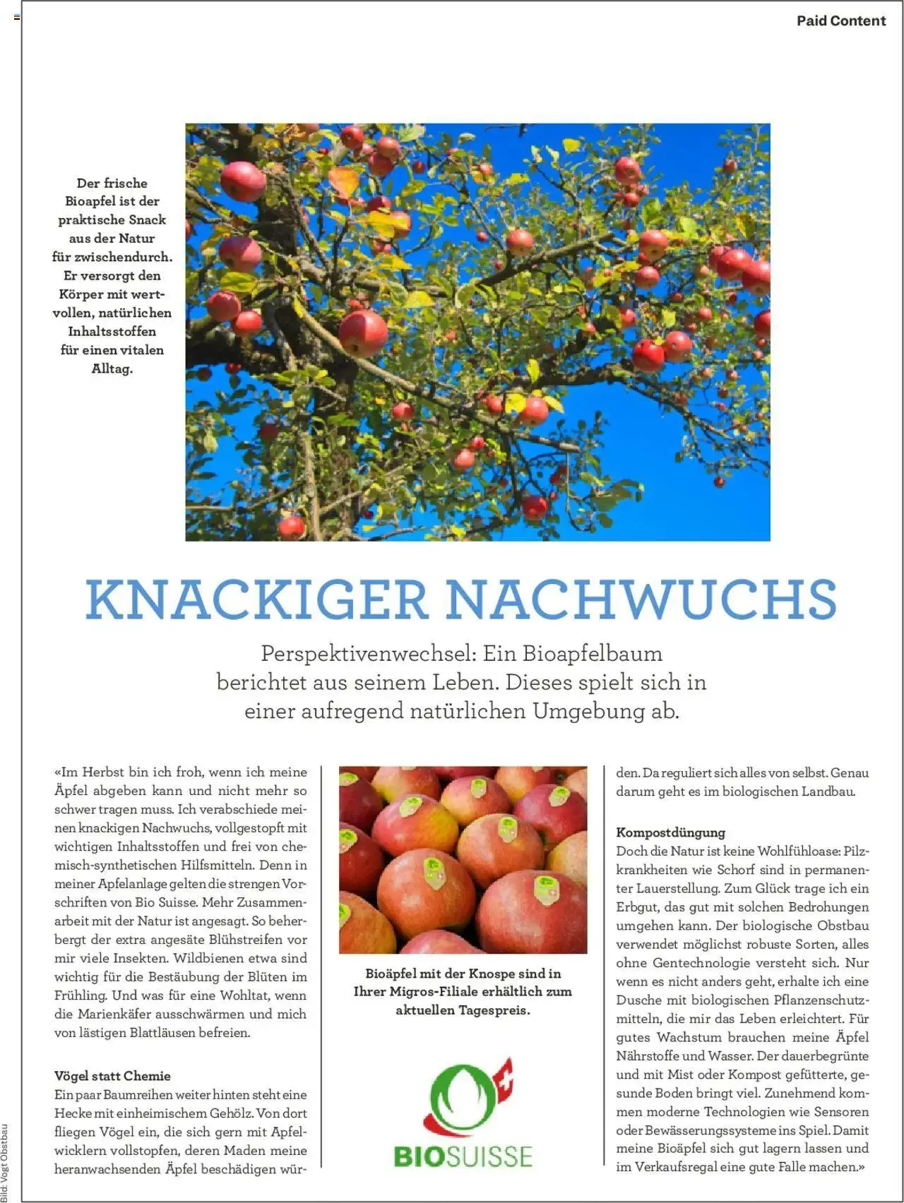 Migros - Magazin von 21. Oktober bis 27. Oktober 2024 - Prospekt seite  37