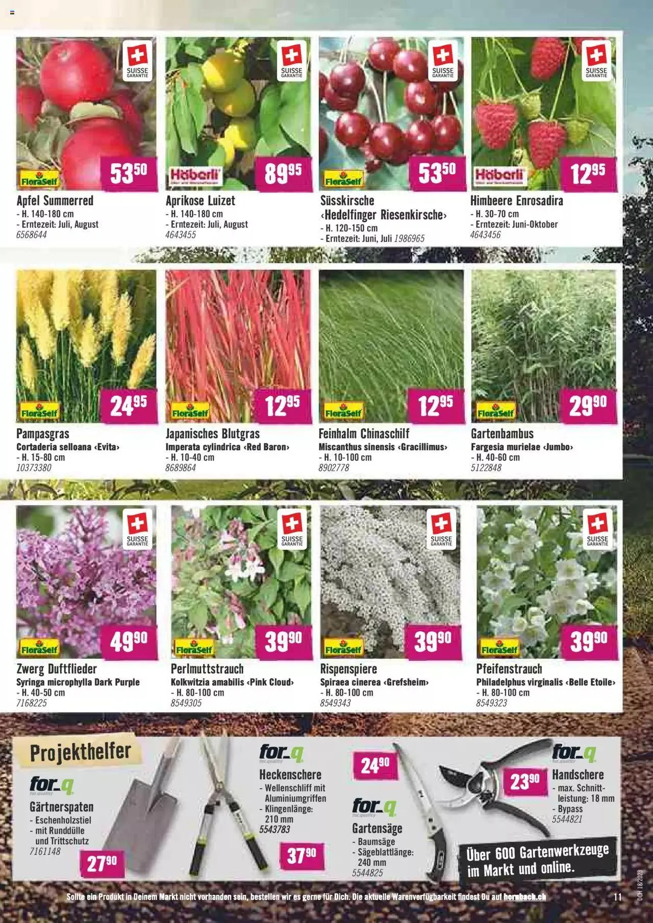 Hornbach Aktionen von 1. Mai bis 31. Dezember 2023 - Prospekt seite 11