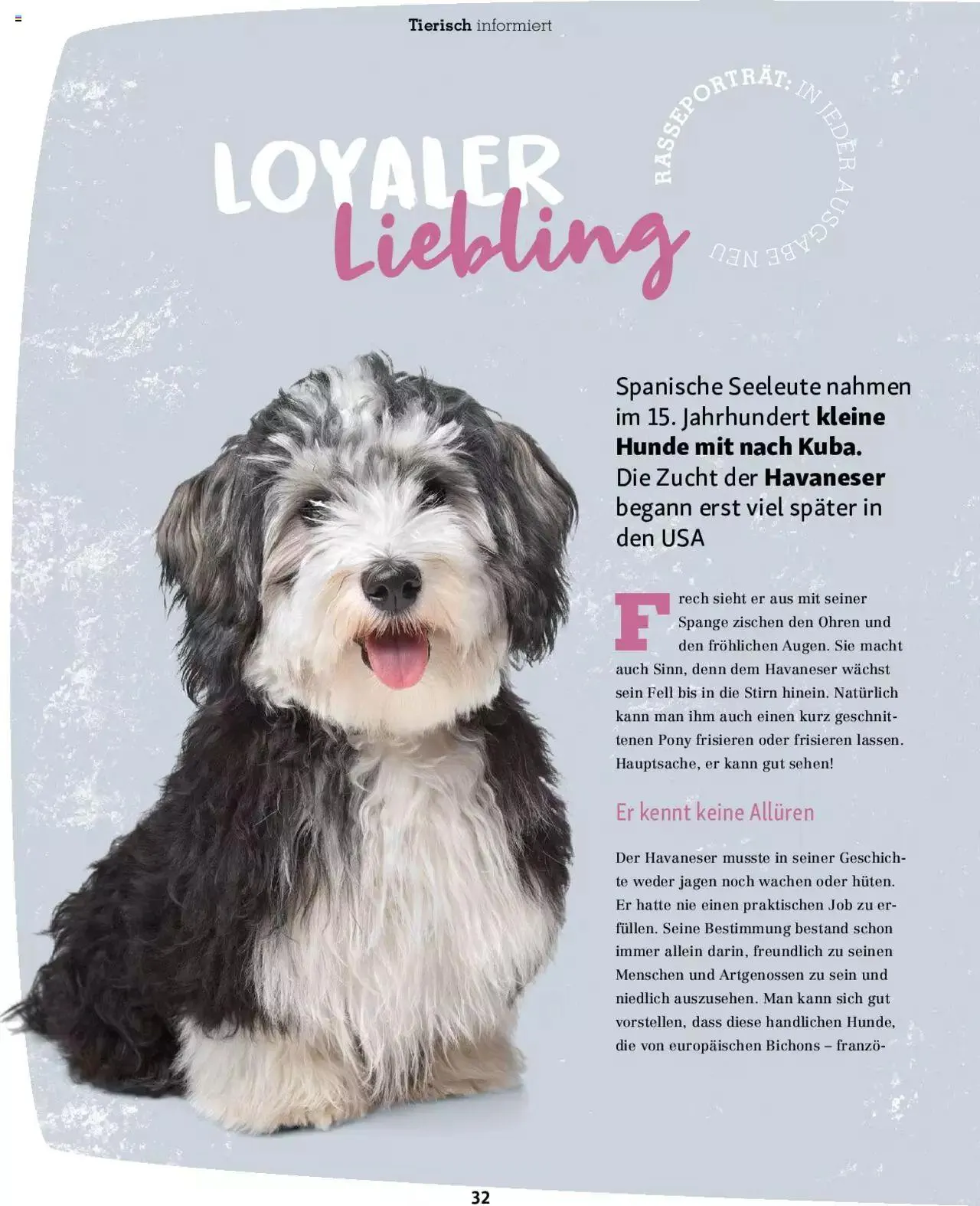 Fressnapf Magazin von 1. September bis 31. Oktober 2023 - Prospekt seite 32