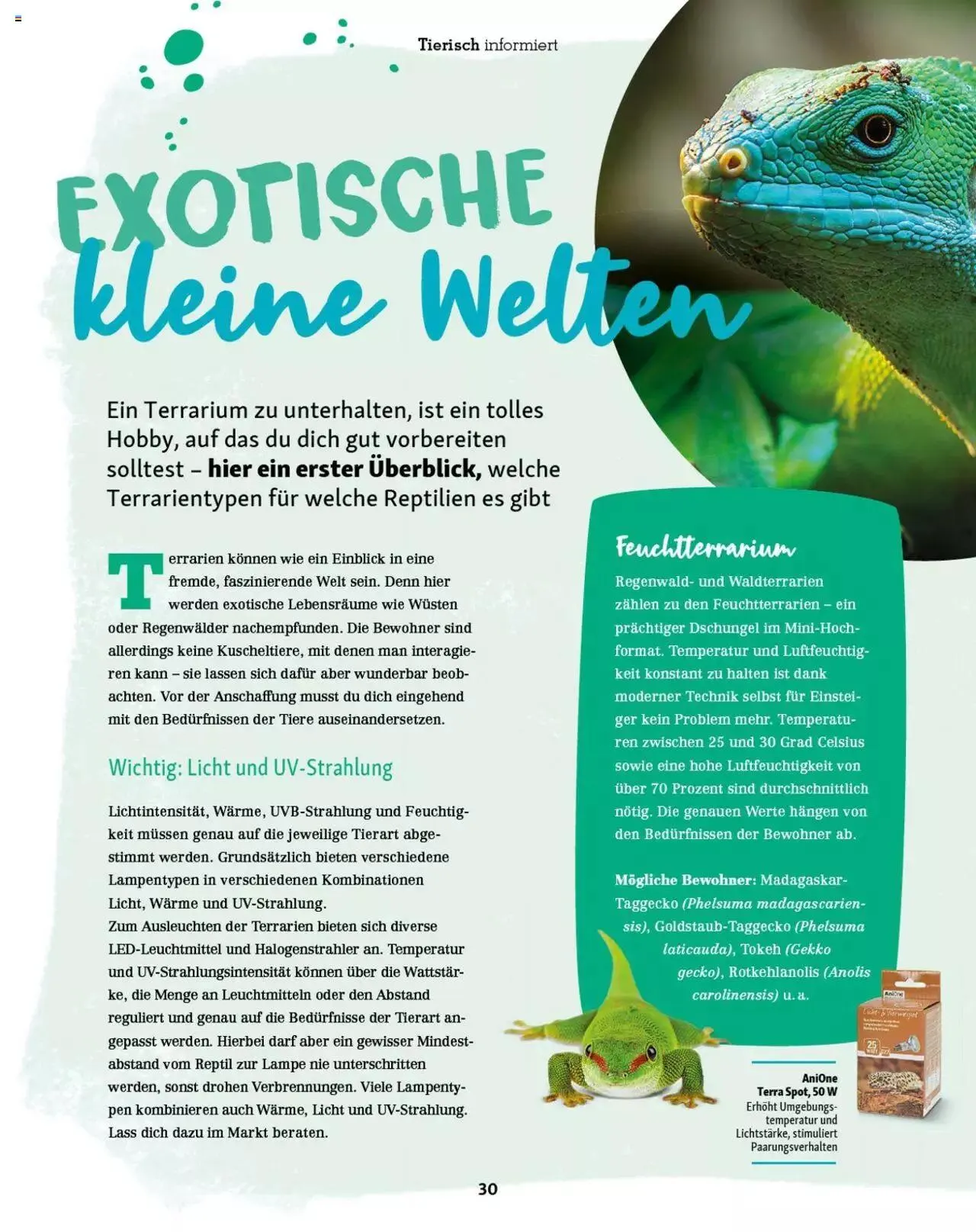 Fressnapf Magazin von 1. Mai bis 31. Dezember 2023 - Prospekt seite  30