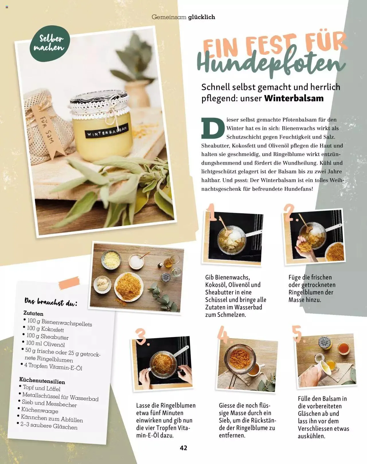 Fressnapf Aktionen von 1. November bis 31. Dezember 2023 - Prospekt seite  42